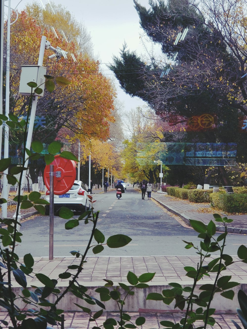 people walking along side of the street