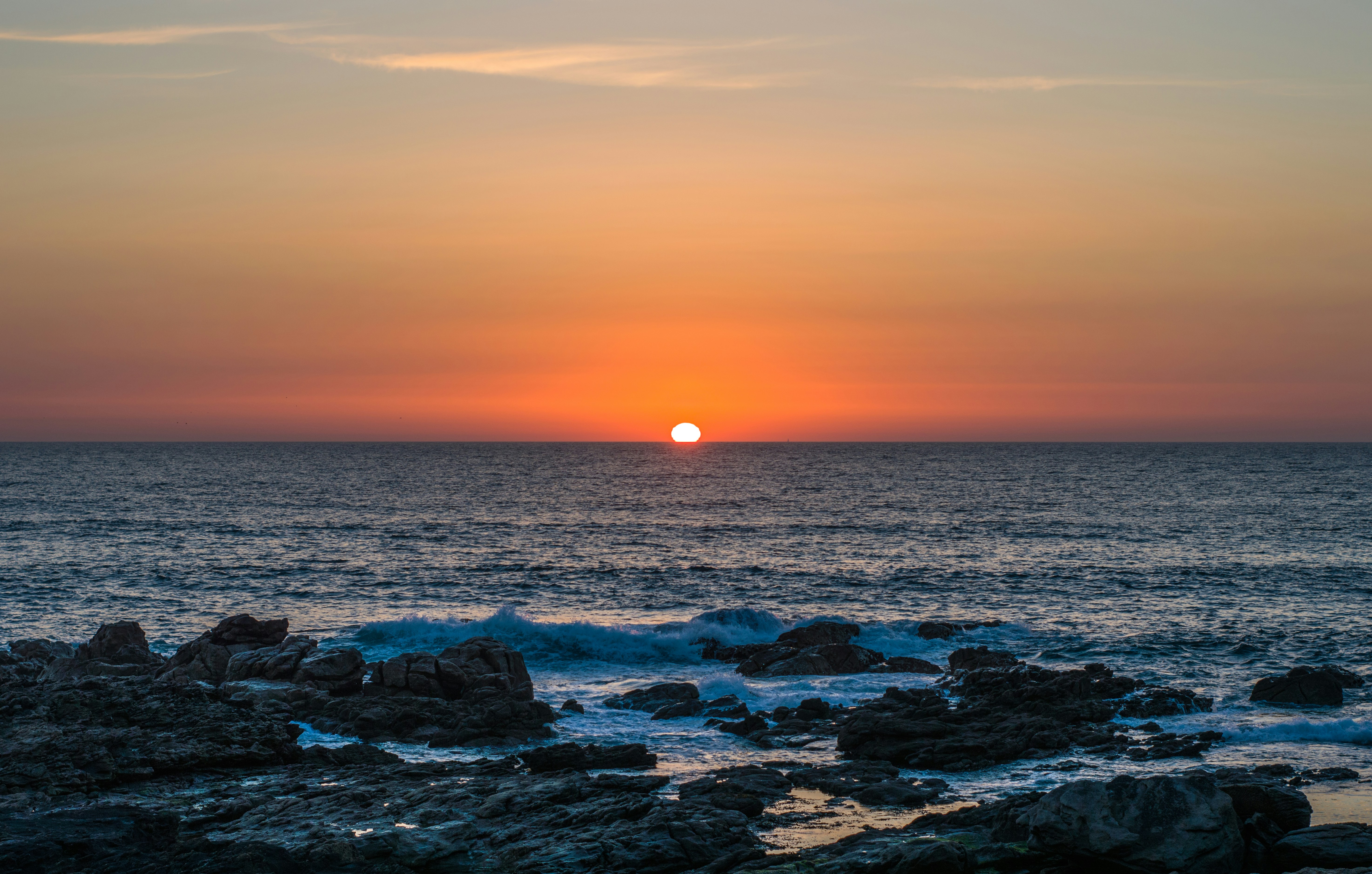 Photo by sergioandreleal