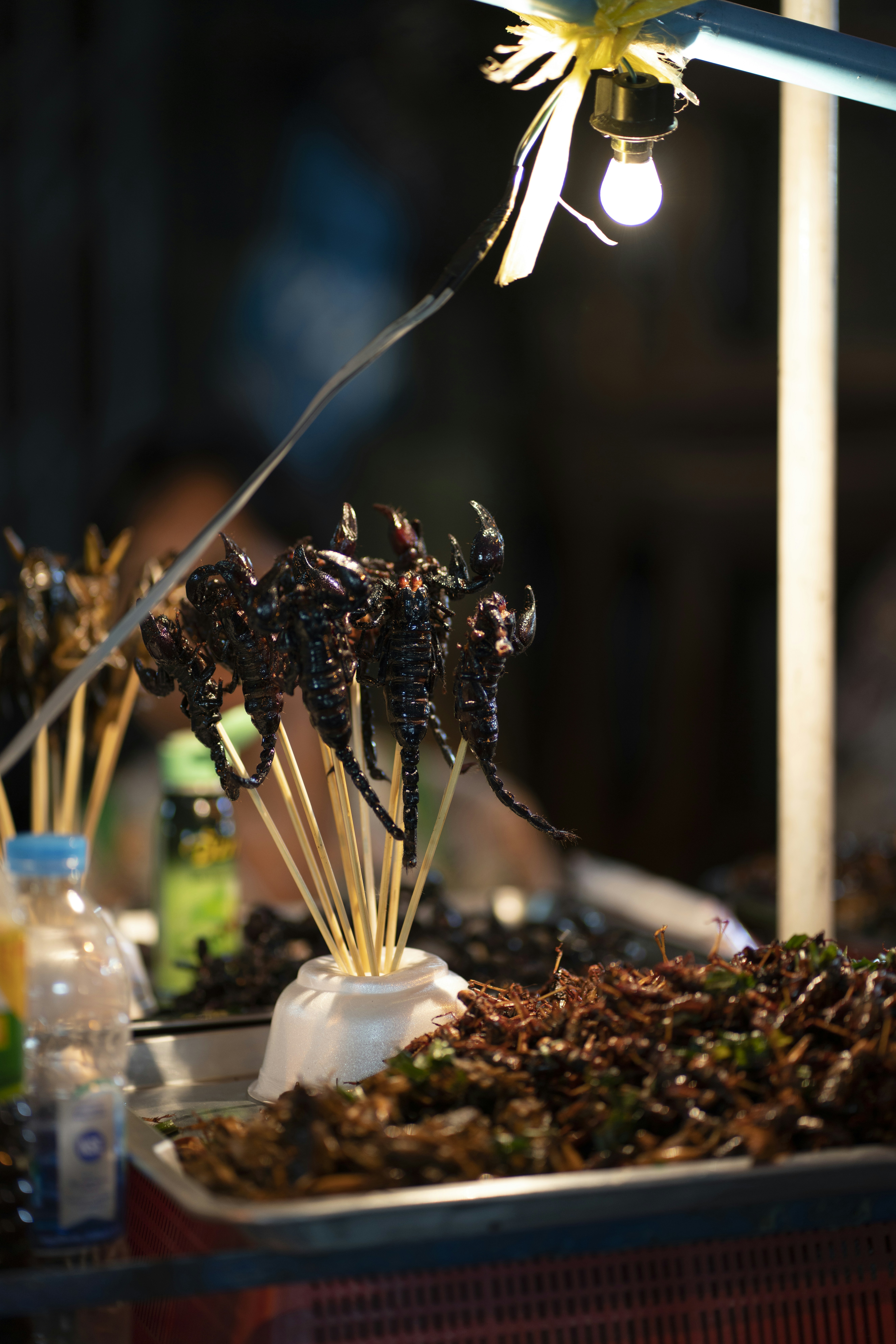 Photo by lawrencemakoona