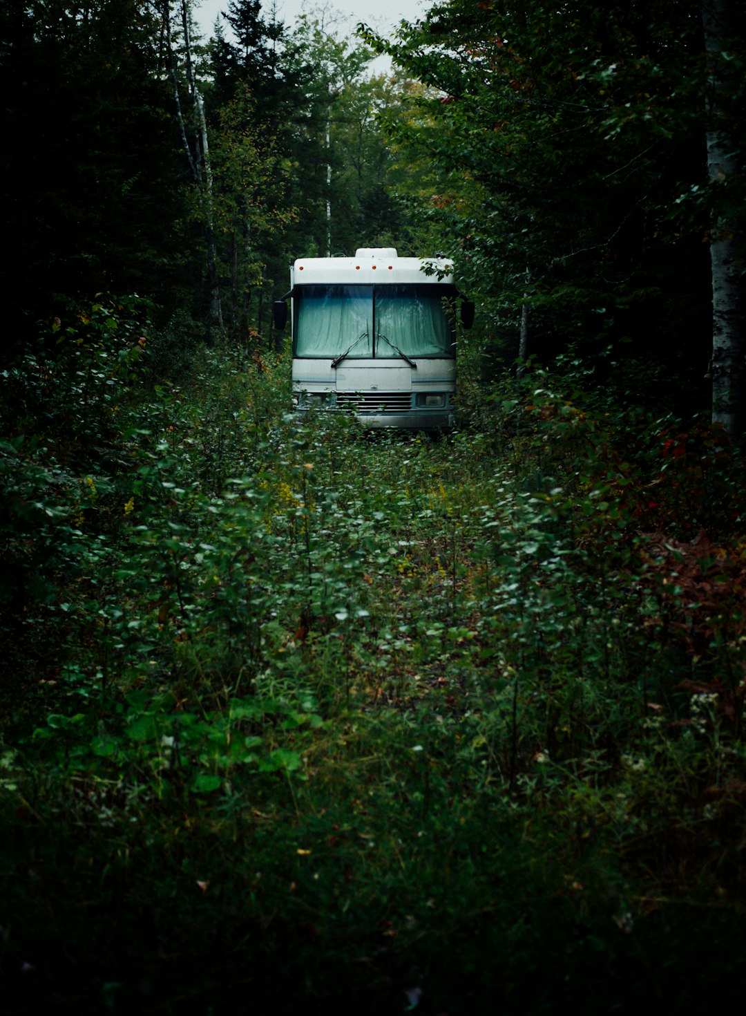 Forest photo spot Nova Scotia Kentville