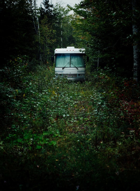 white bus surrounded by trees in Nova Scotia Canada
