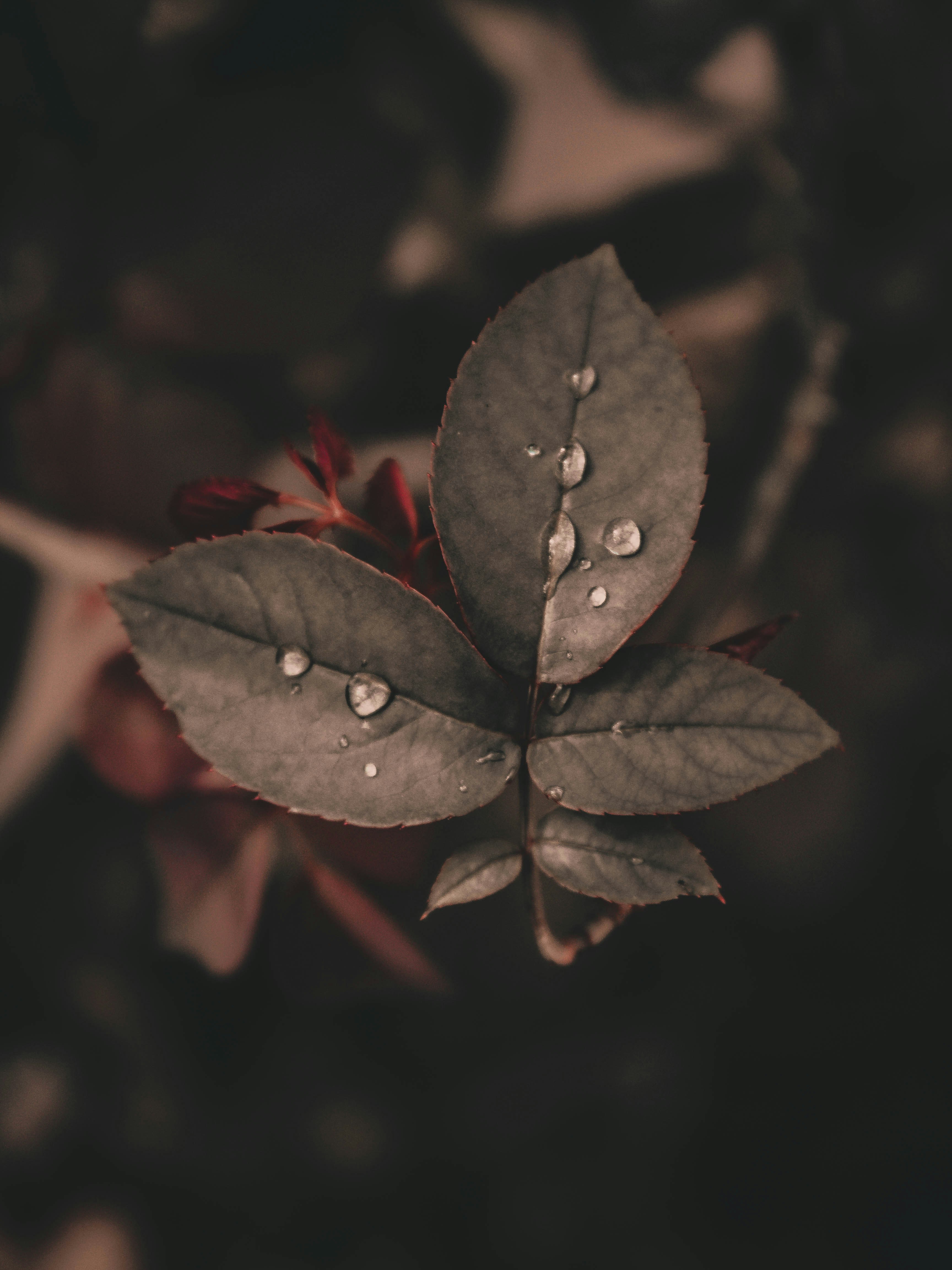 Photo by daniel_joshua_