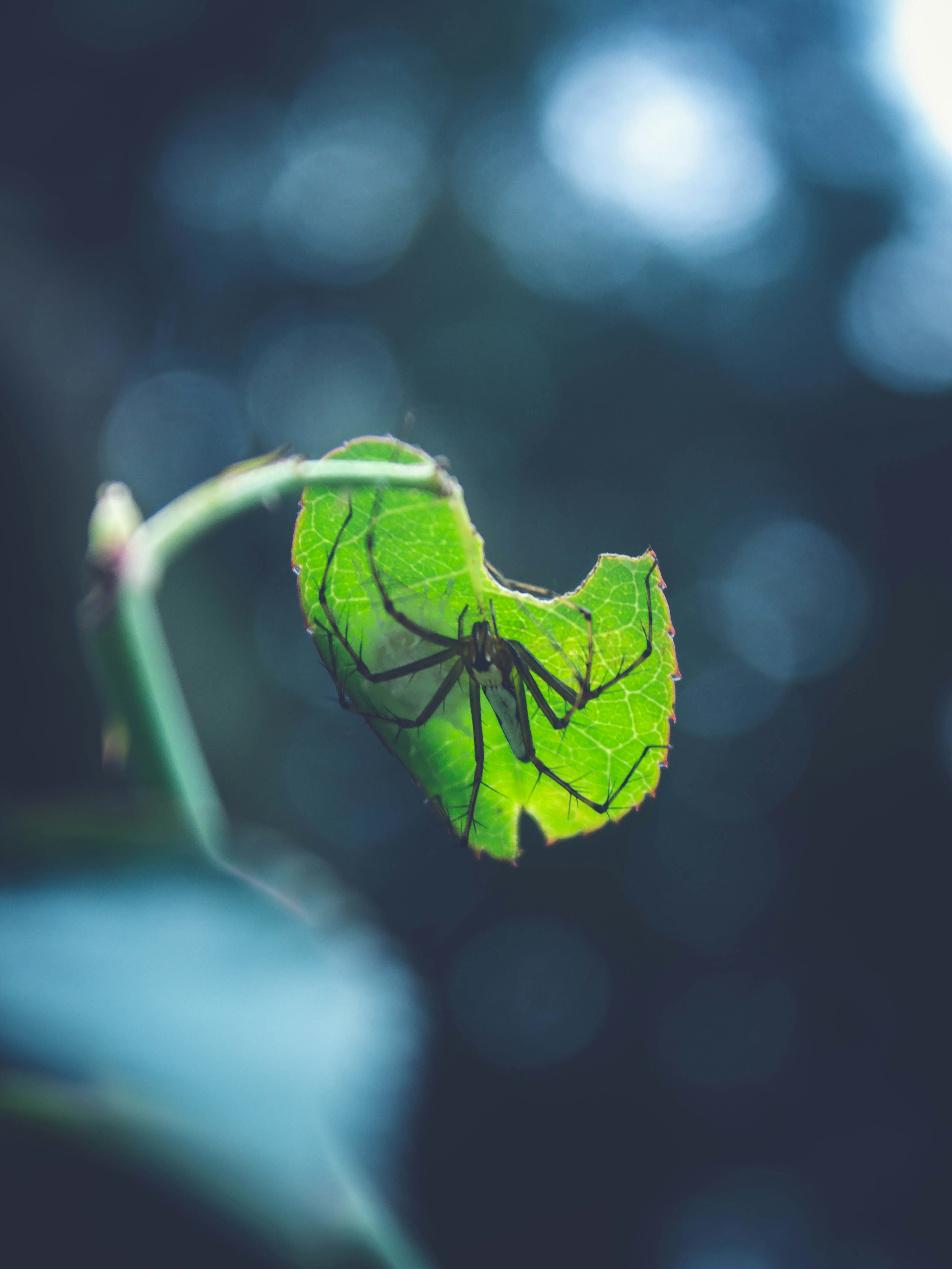 Photo by daniel_joshua_