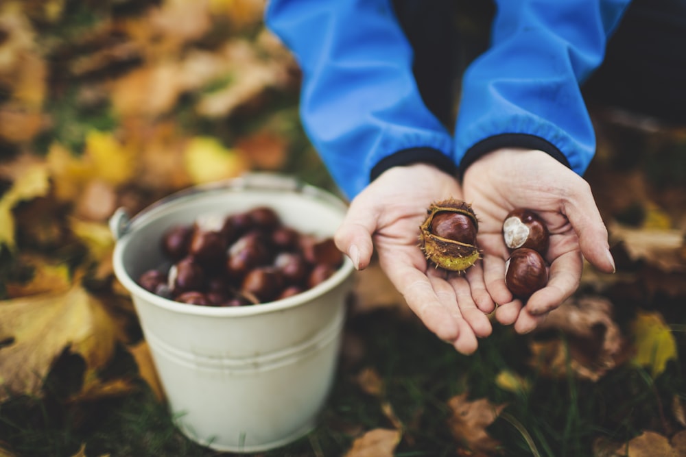 shallow focus photo of brown fuirst