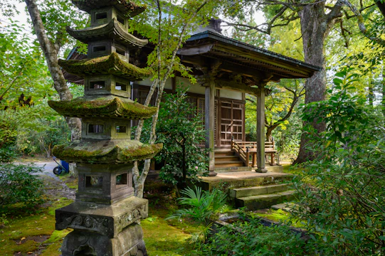 Elegant residential garden with aged bonsai trees and traditional Japanese stone lanterns surrounding minimalist wooden architecture.