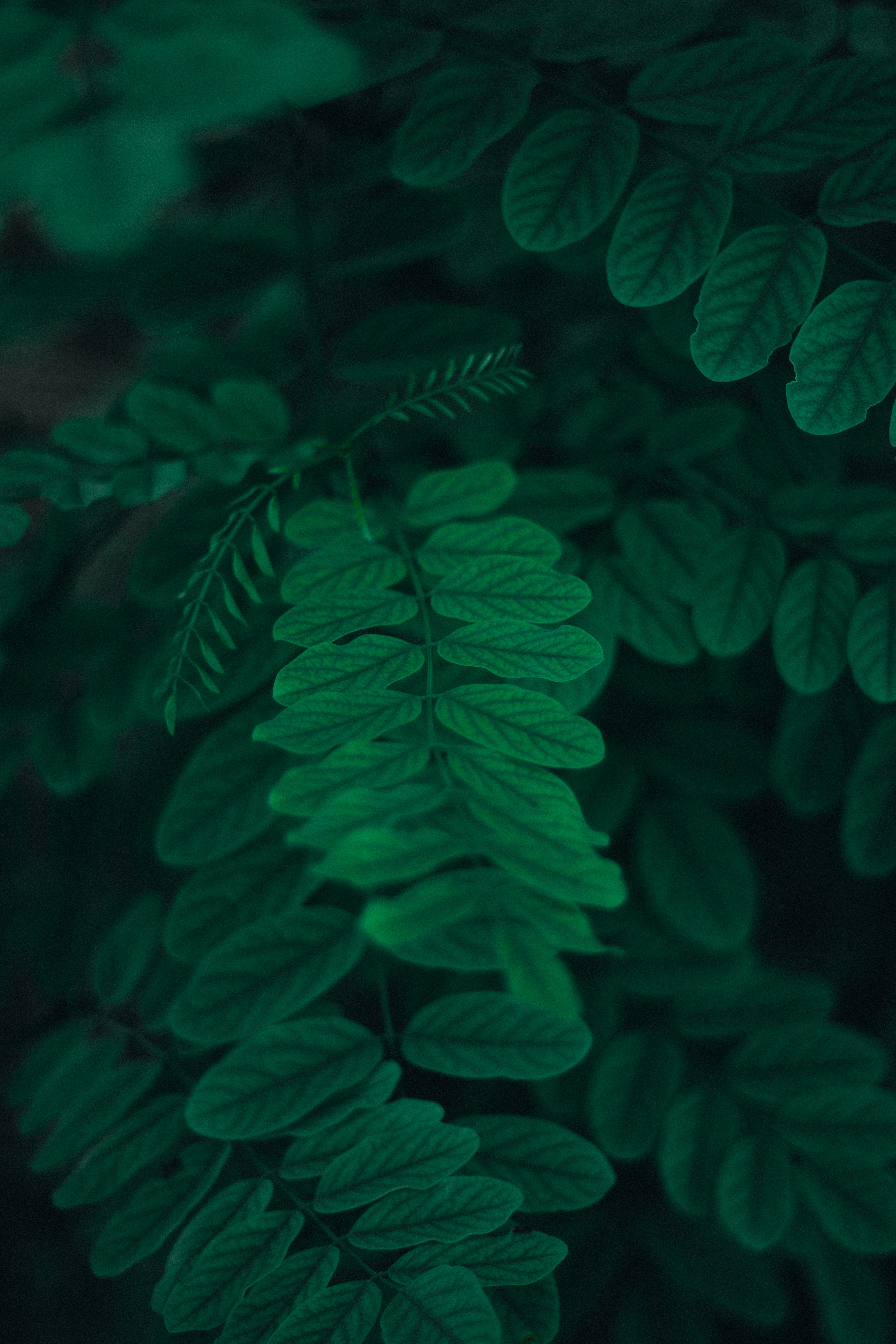 Photo by camilletinon