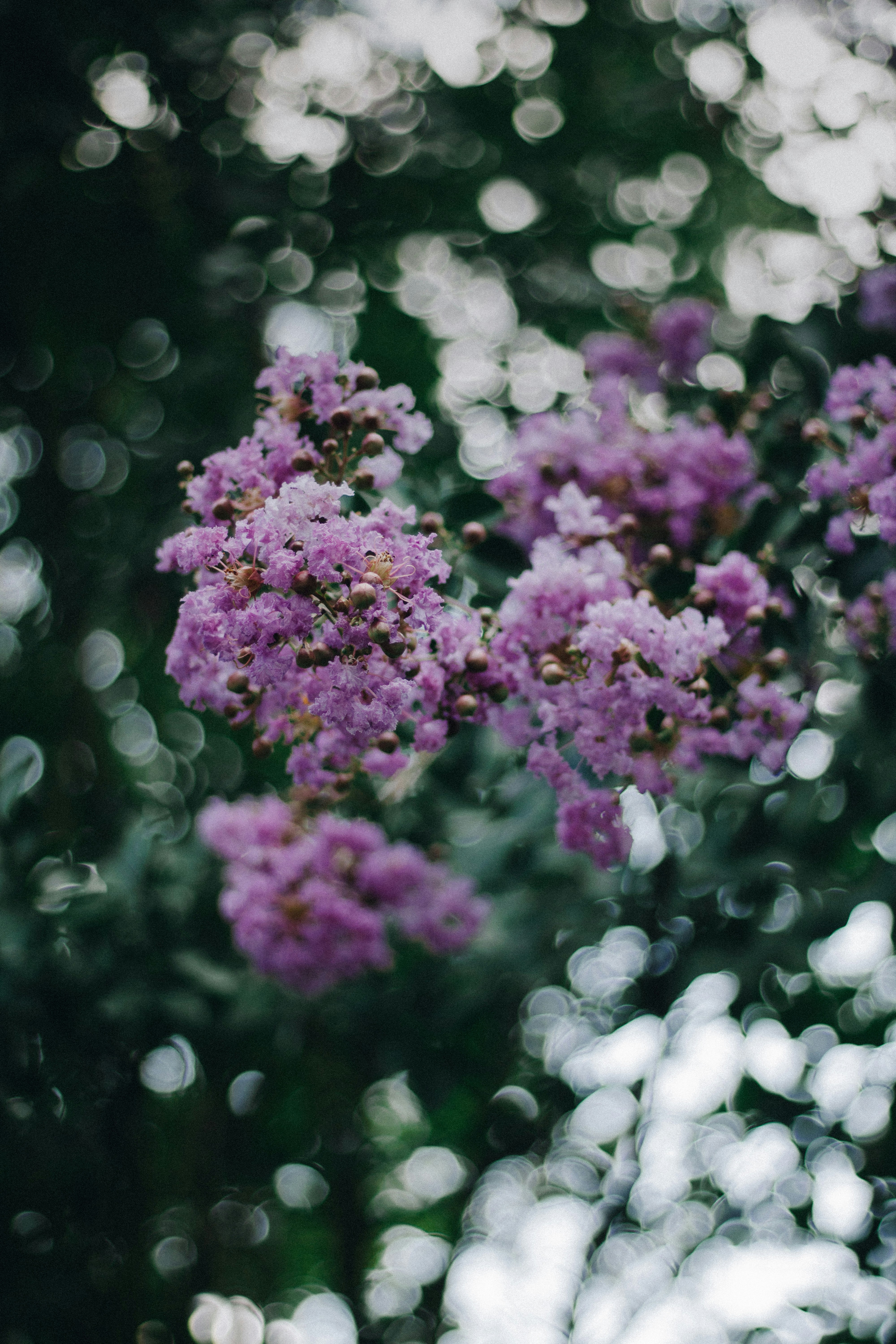 Photo by camilletinon