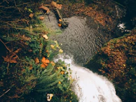 A wide shot of a multi-tiered waterfall surrounded by autumn-colored leaves.