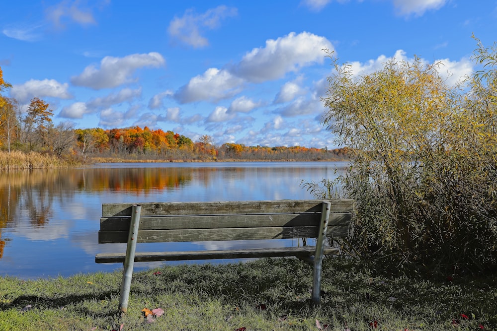 green wooden bench by a body of water