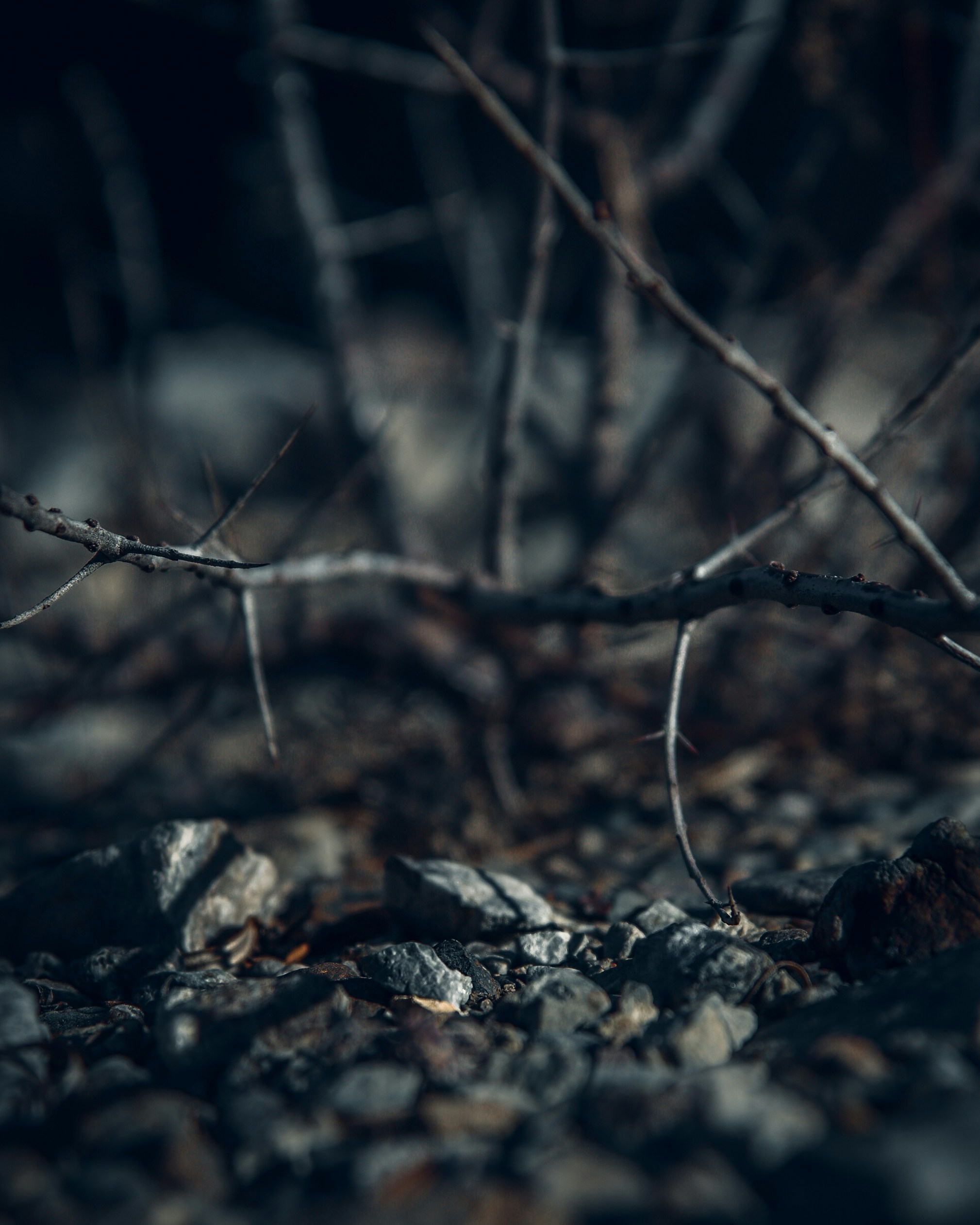 Photo by kirillpershin