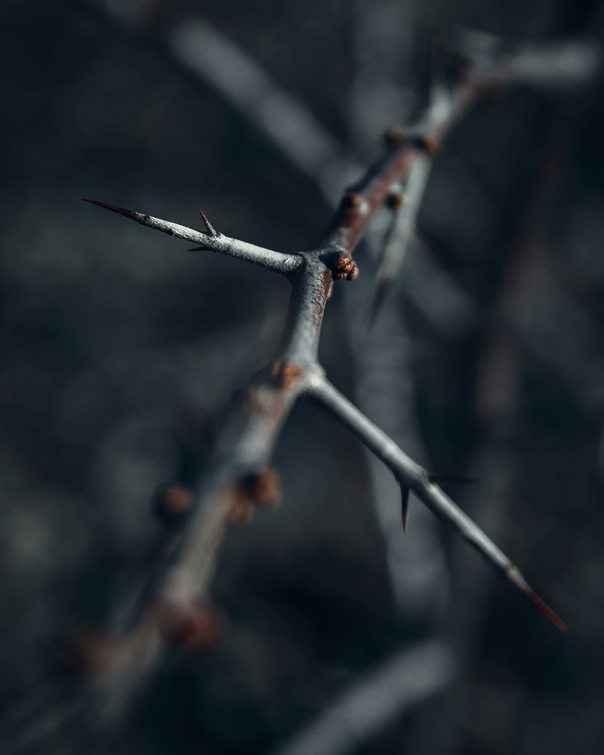 Photo by kirillpershin