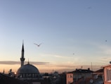 A skyline with a large mosque featuring a prominent dome and minaret under a clear sky. Birds are flying across, and several rooftops with satellite dishes are visible in the foreground.