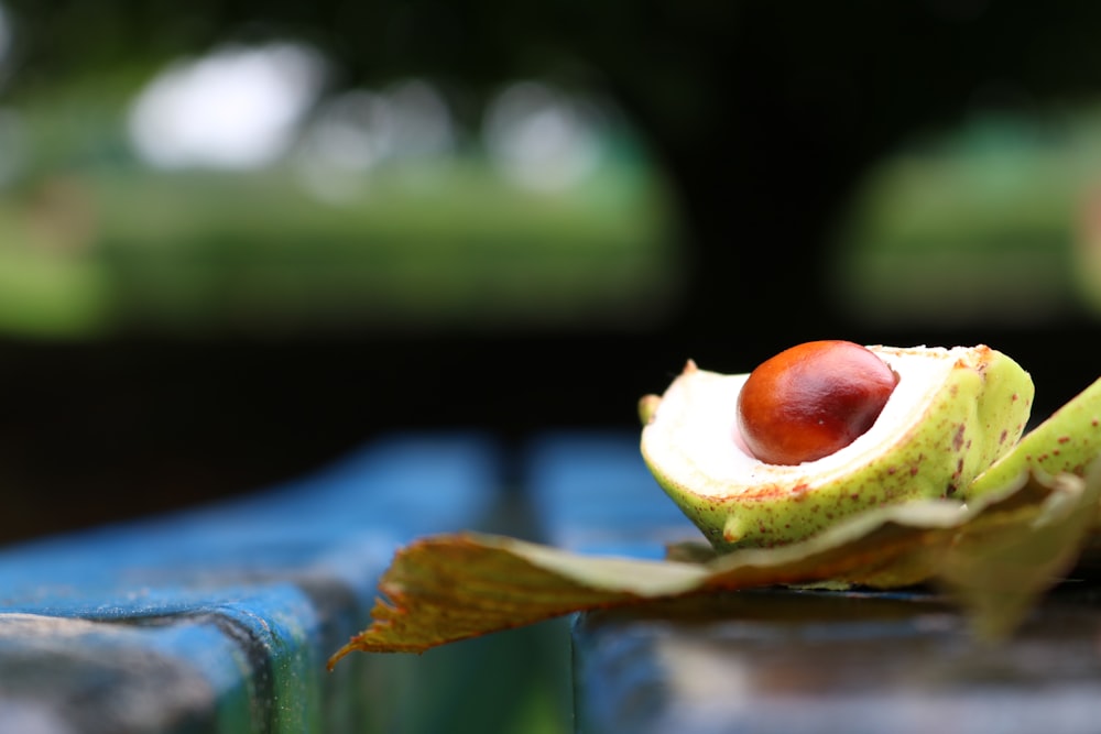 round green fruit