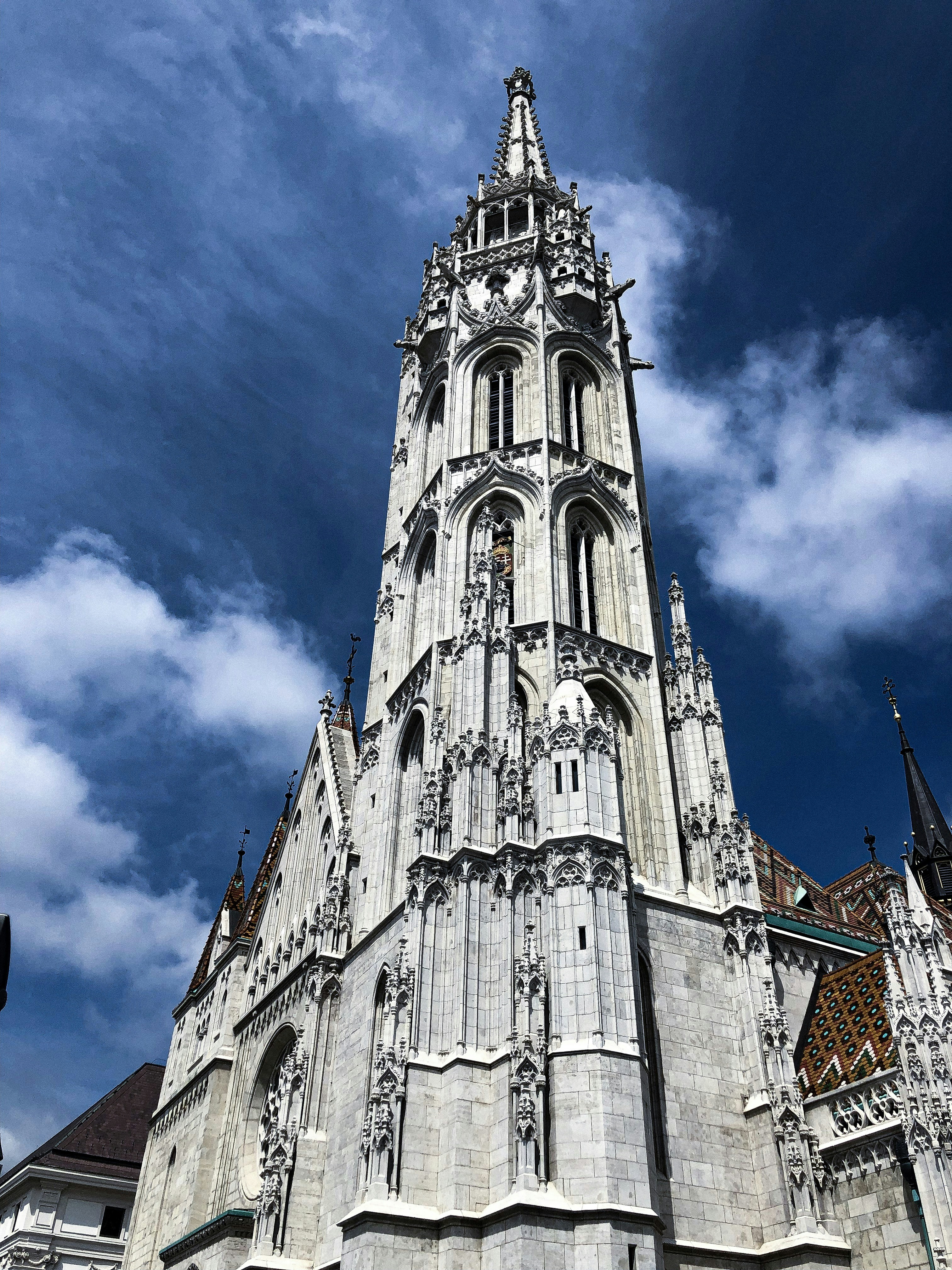 Photo by fannigondocs