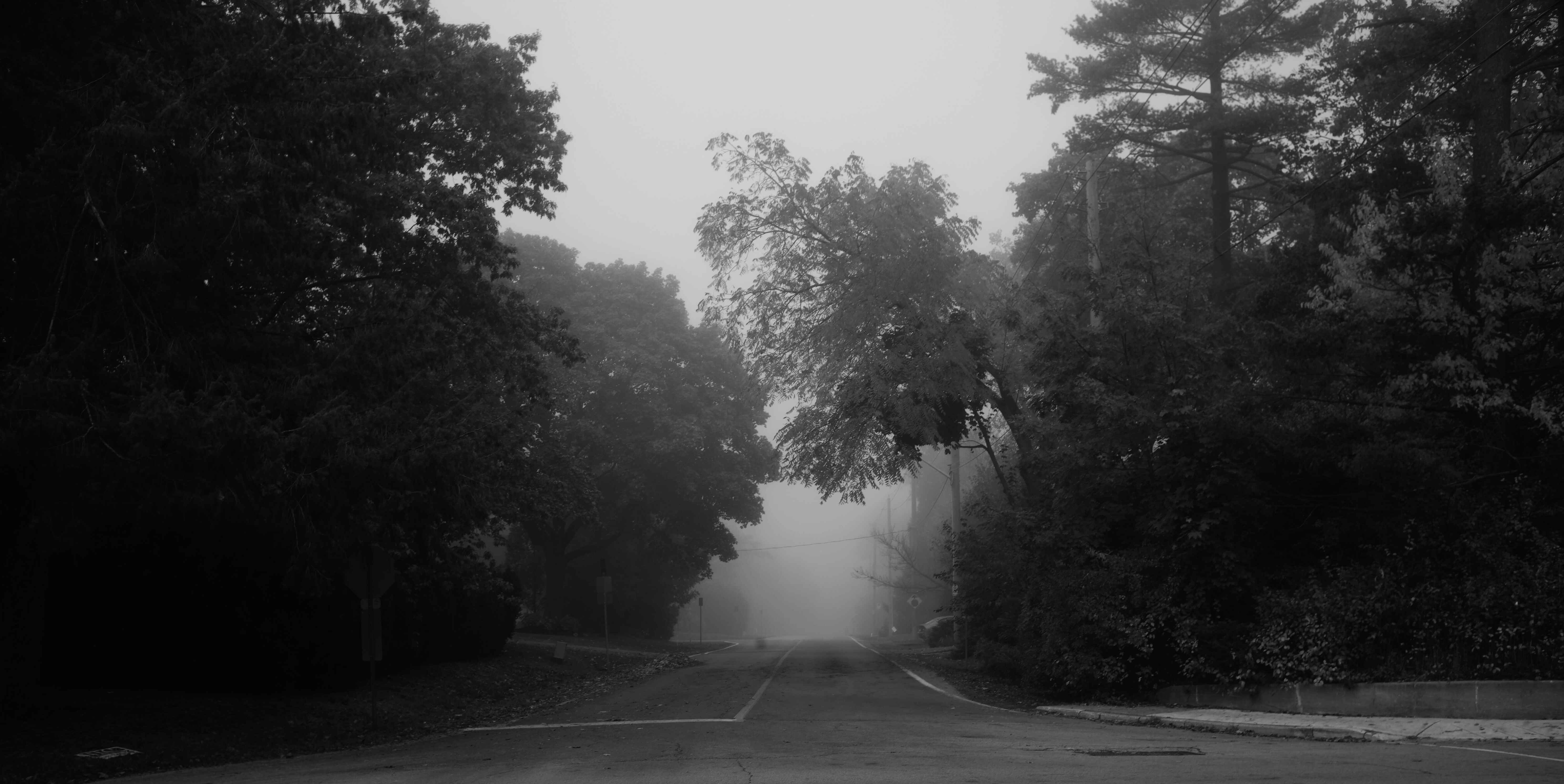 Photo by monkeywithleica68