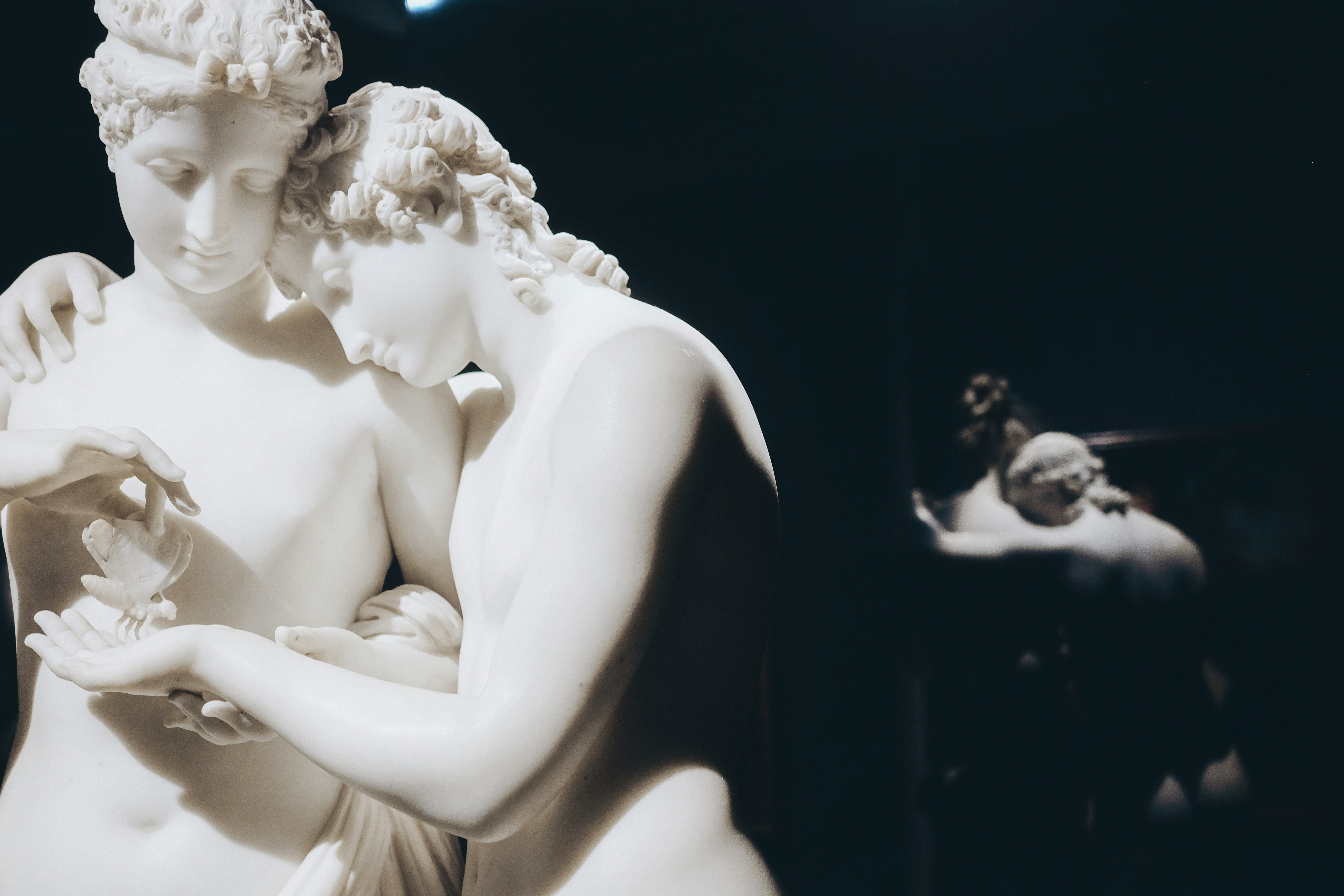 Photo by cristina_gottardi