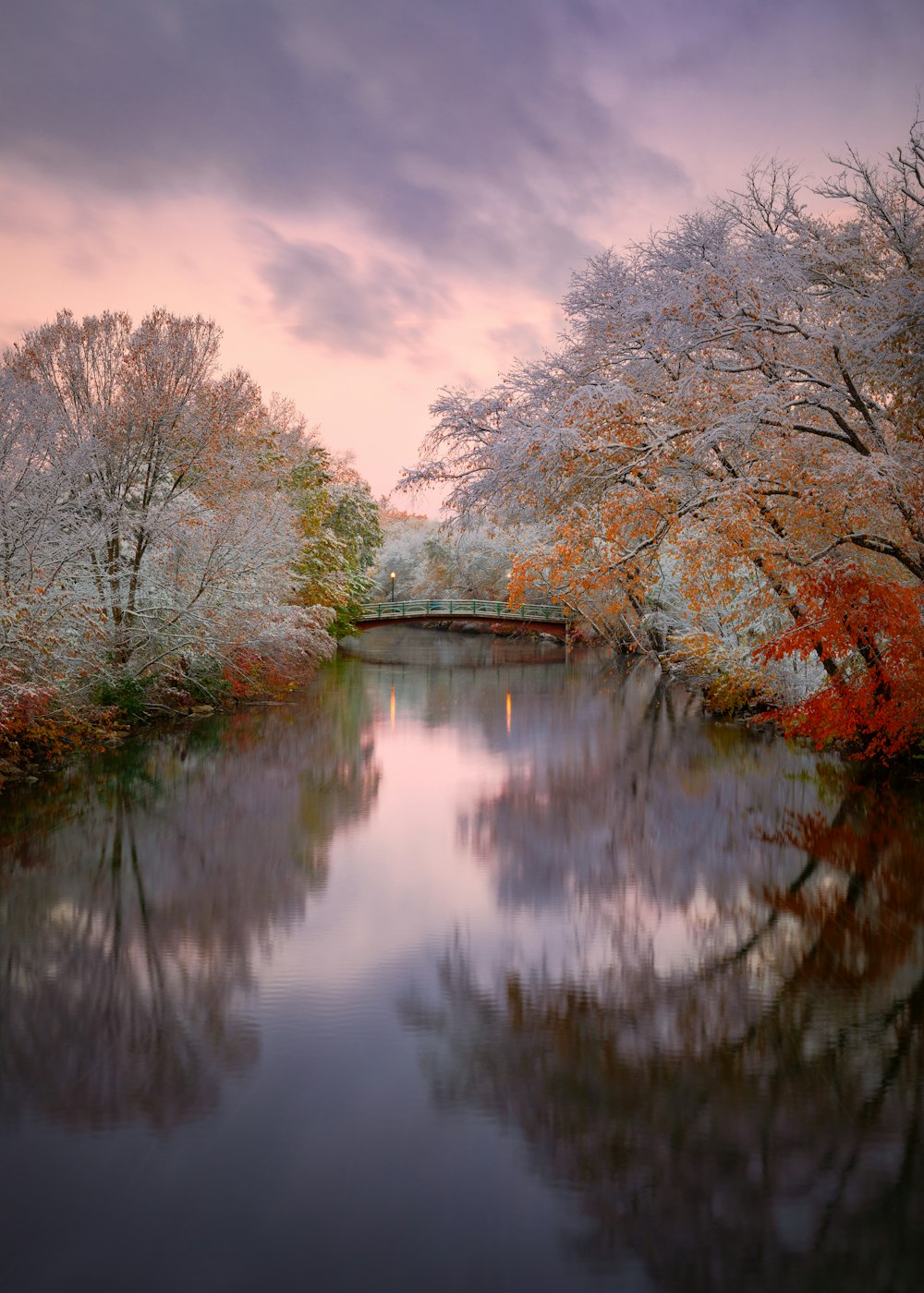 reflections of trees on water