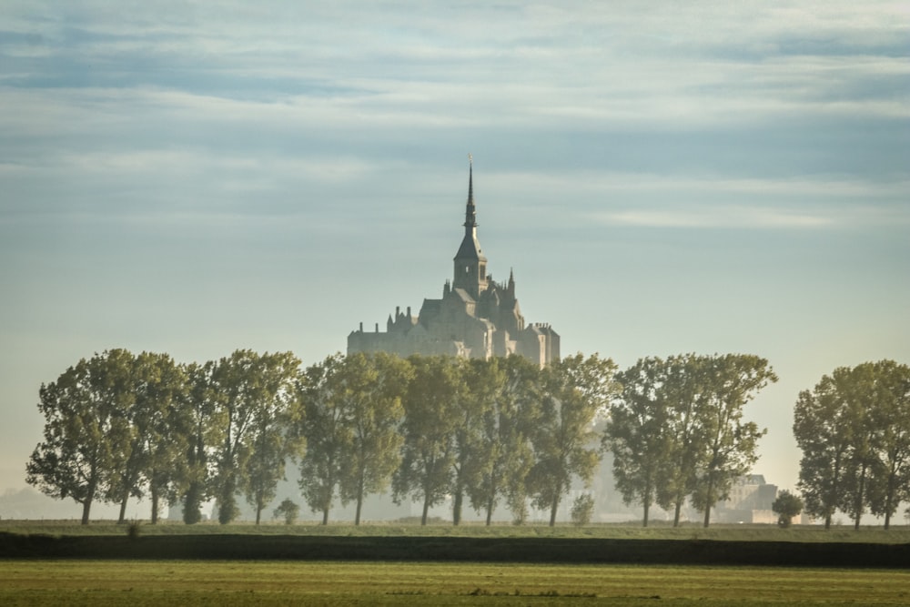 gray castle surrounded by trees