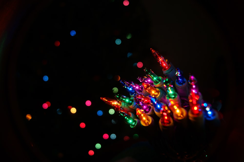 multicolored lighted lights