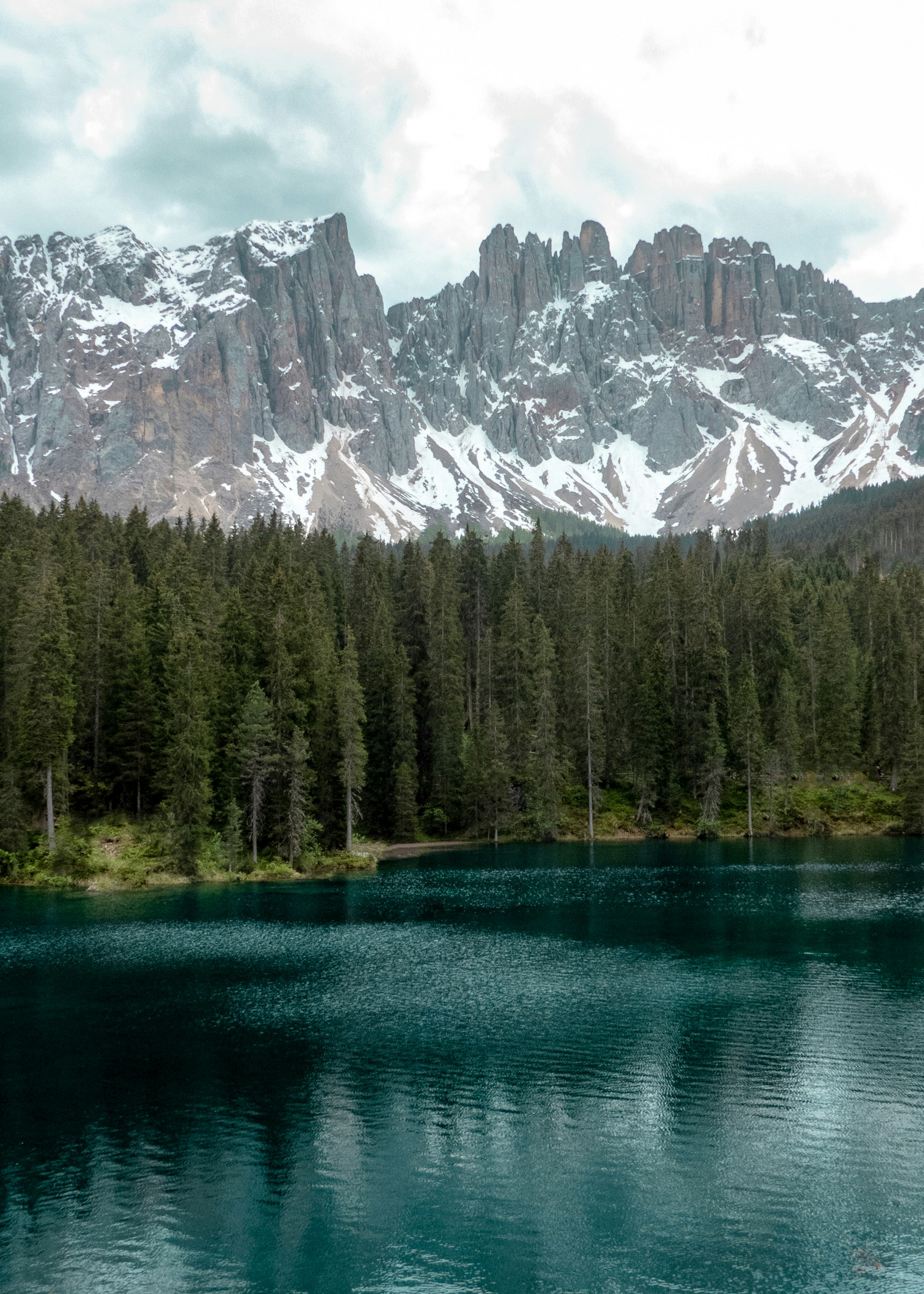 green trees near body of water during daytime