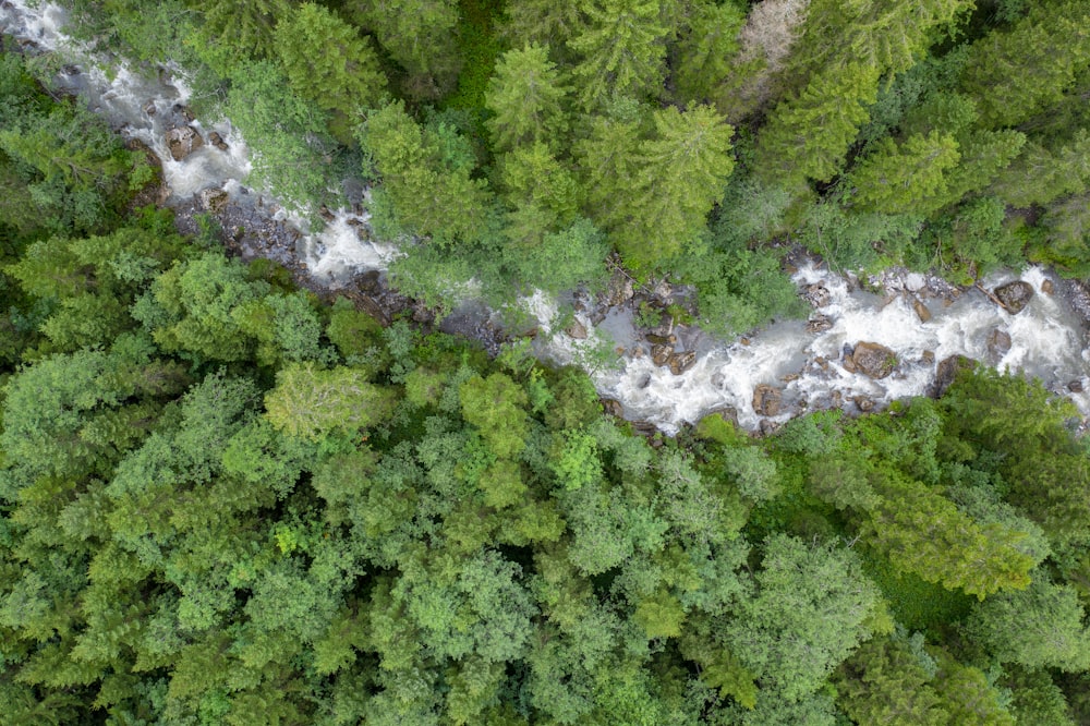 fotografia aérea do rio que flui cercado com árvores altas e verdes durante o dia