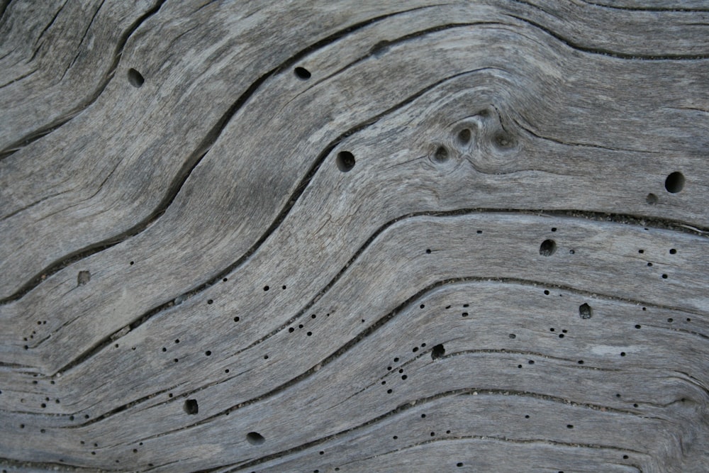 un gros plan d’une surface en bois percée de trous