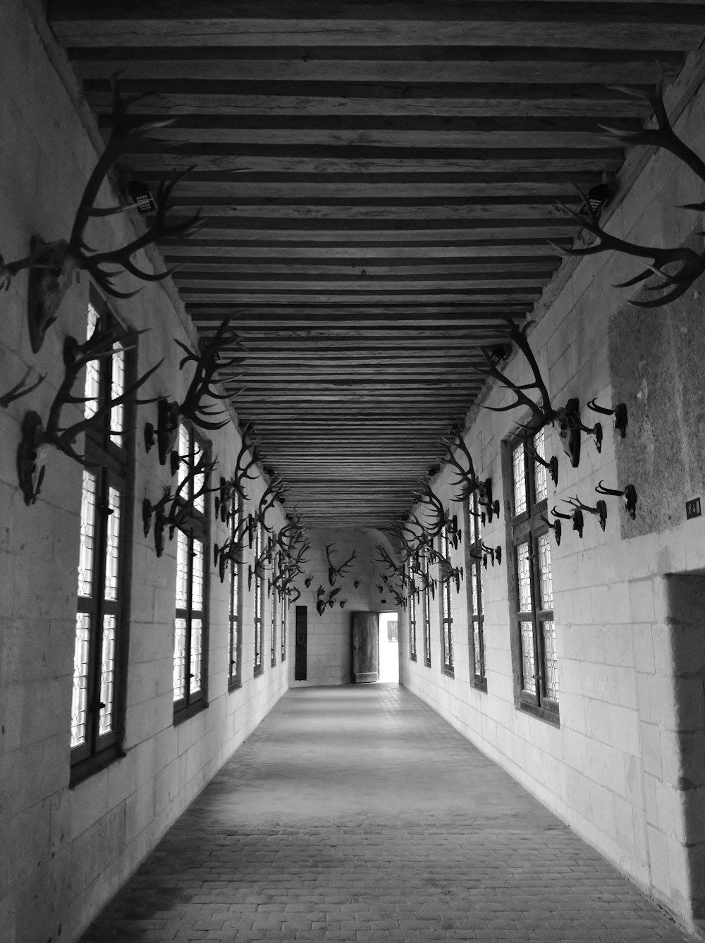 empty hallway with antlers