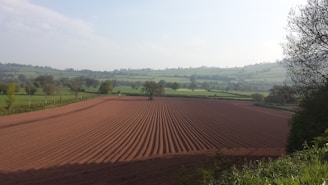 A freshly plowed field with neatly arranged rows extends across a rural landscape with rolling green hills in the background. Scattered trees and hedgerows border the field, with clear blue skies overhead.
