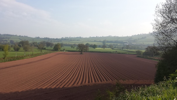 A freshly plowed field with neatly arranged rows extends across a rural landscape with rolling green hills in the background. Scattered trees and hedgerows border the field, with clear blue skies overhead.