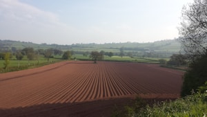 Plowed Farmland