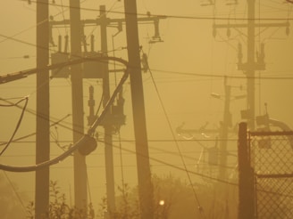 A network of electric power lines and poles is set against a hazy, yellow-tinted sky. The silhouettes of the electrical equipment create a complex web of lines and shapes. Vegetation is visible at the bottom, and there is a metal fence on the right side of the image.