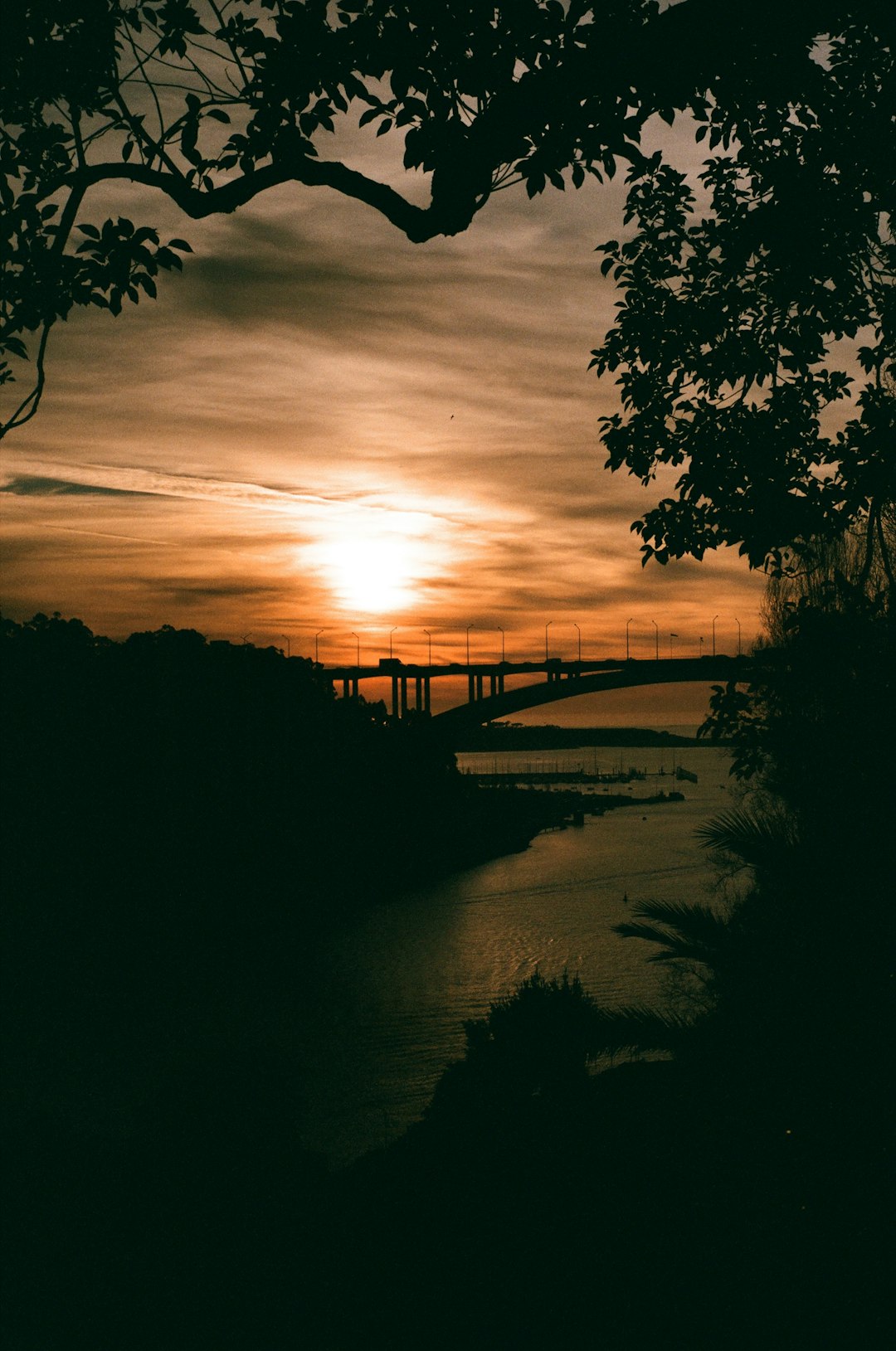 River photo spot Porto Aveiro