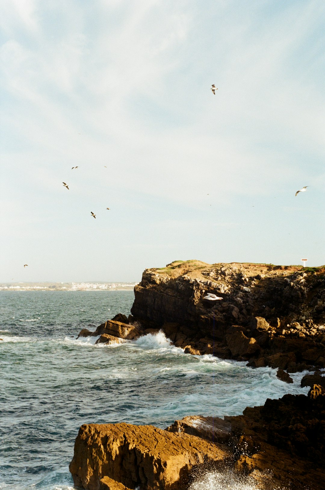 Beach photo spot Natural Reserve of Berlengas Peniche