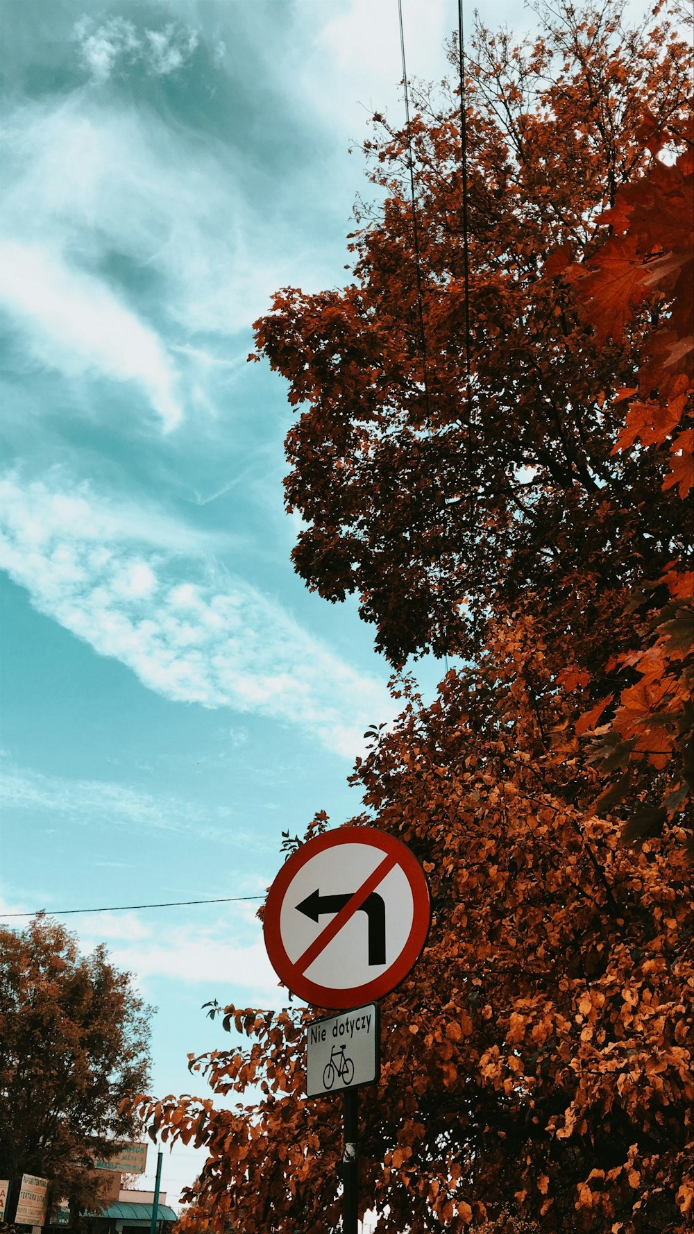 no left turn signage near tree