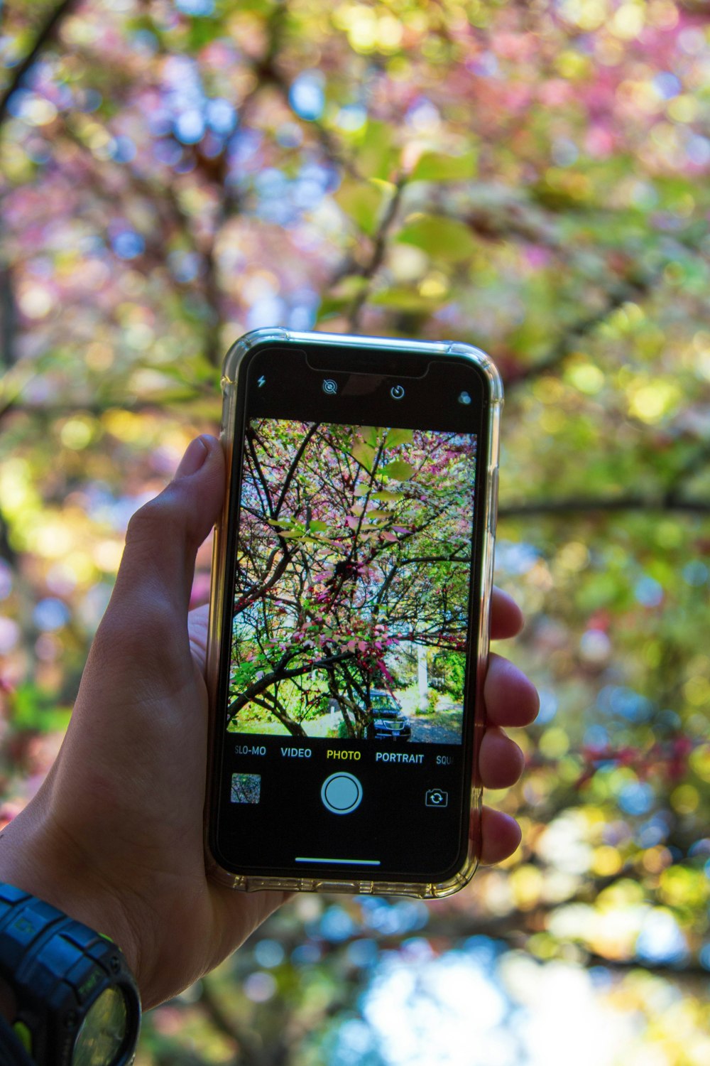 person holding smartphone with camera application open