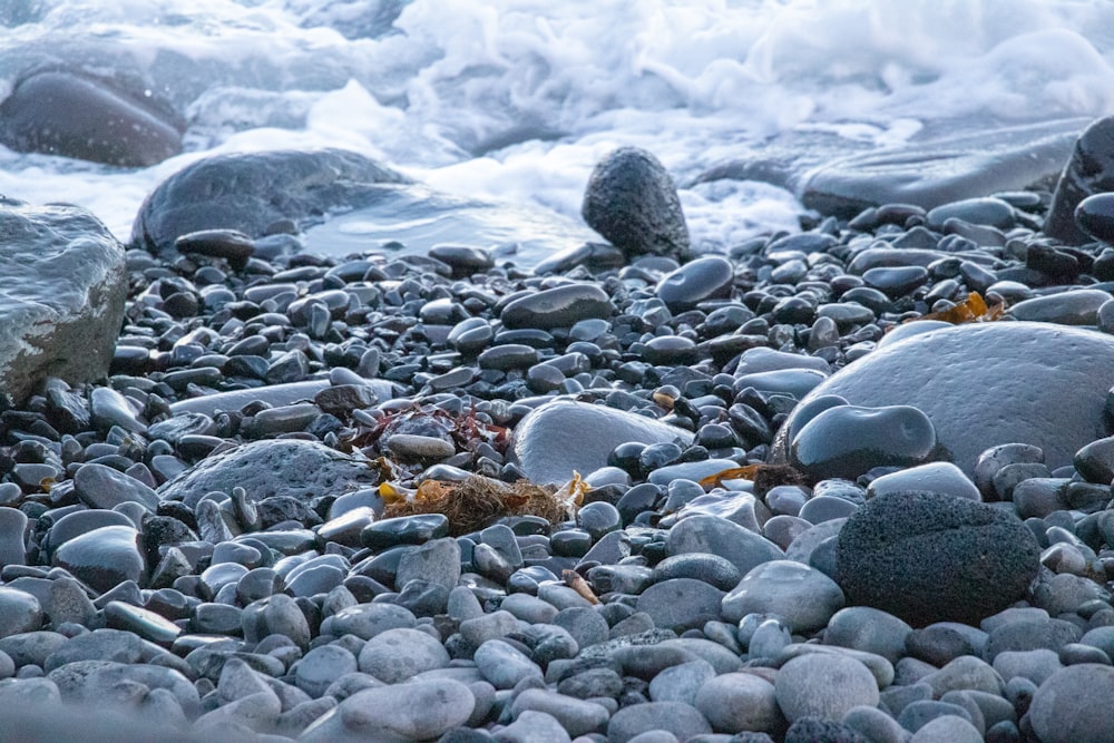 rocks at beach