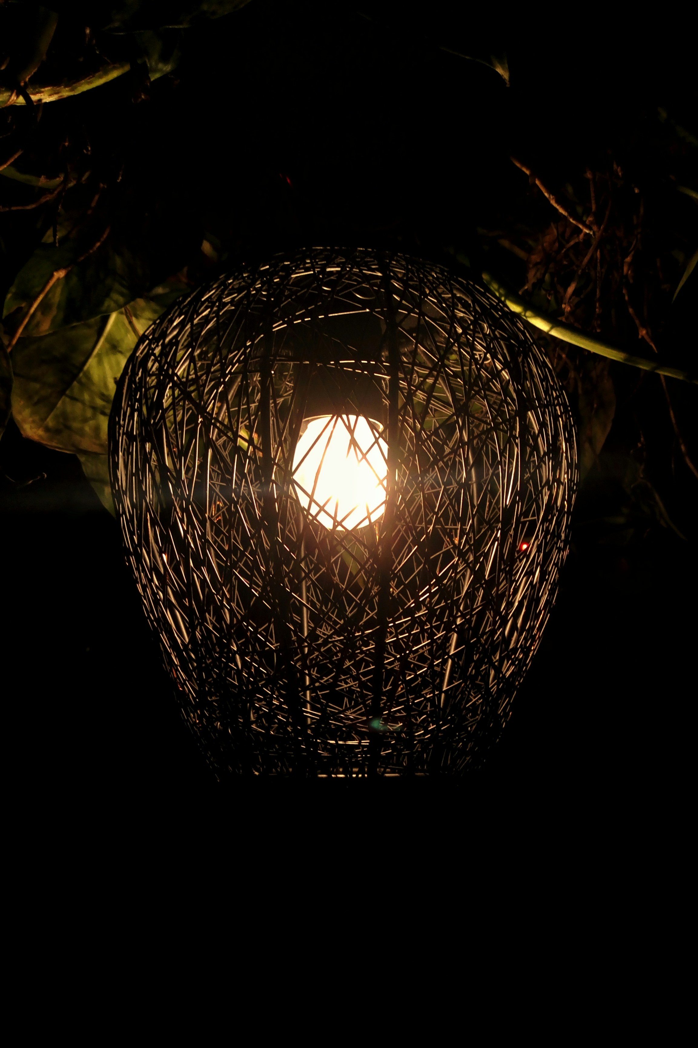 Photo by jadhav24omkar