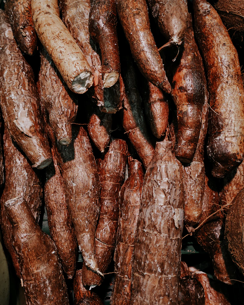 Cassava & Tubers