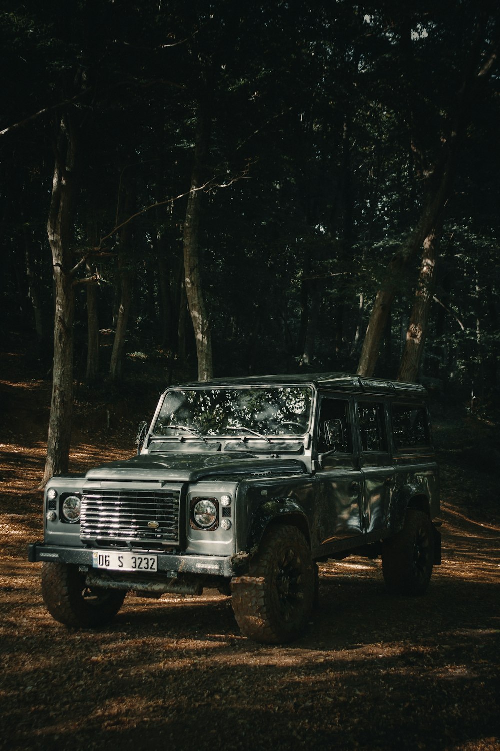 gray Jeep Rubicon SUV parking near trees