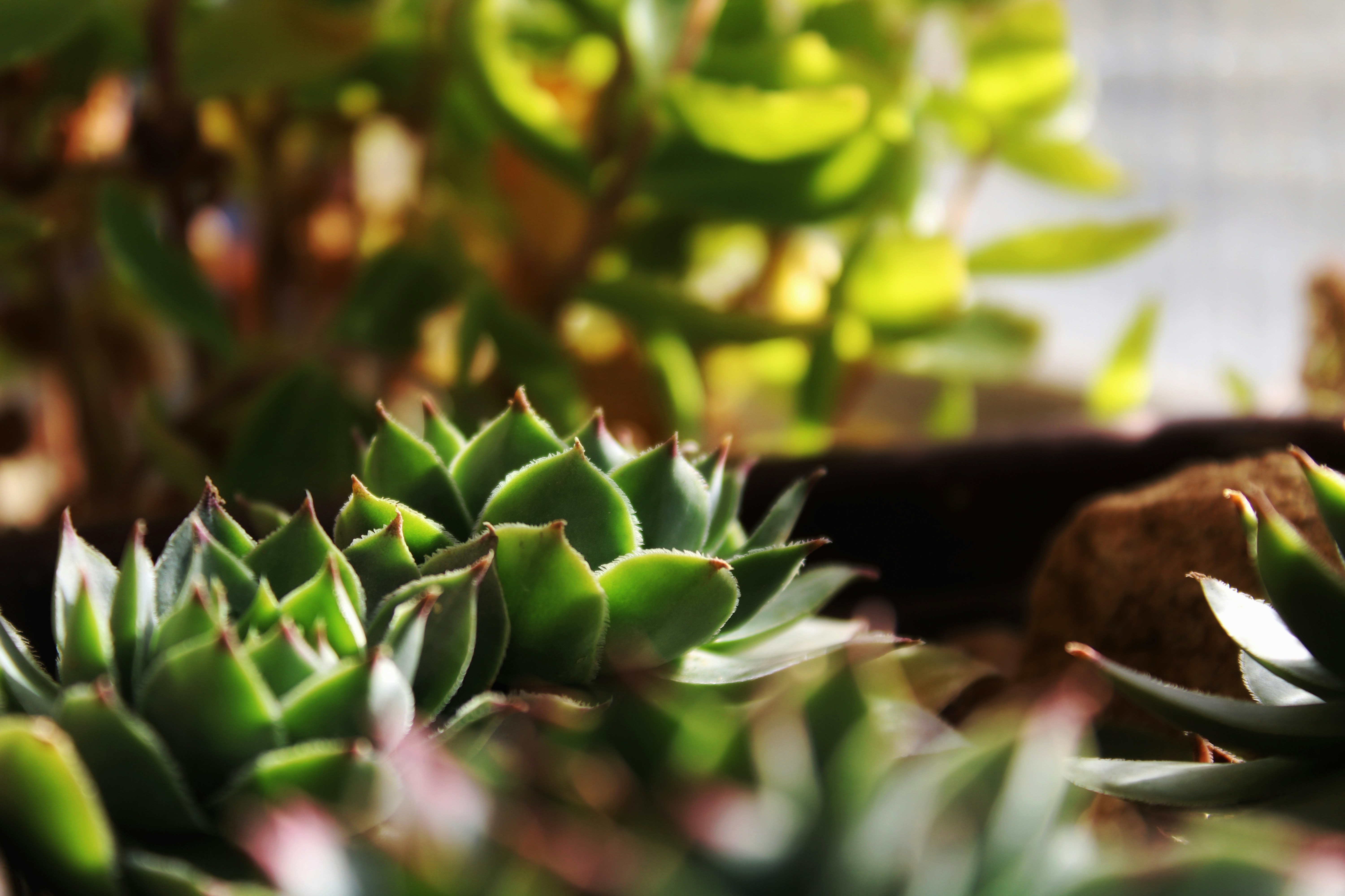 Photo by lukaskudlacek