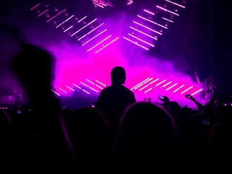 Silhouetted crowd enjoying an electronic music concert with vibrant lights.