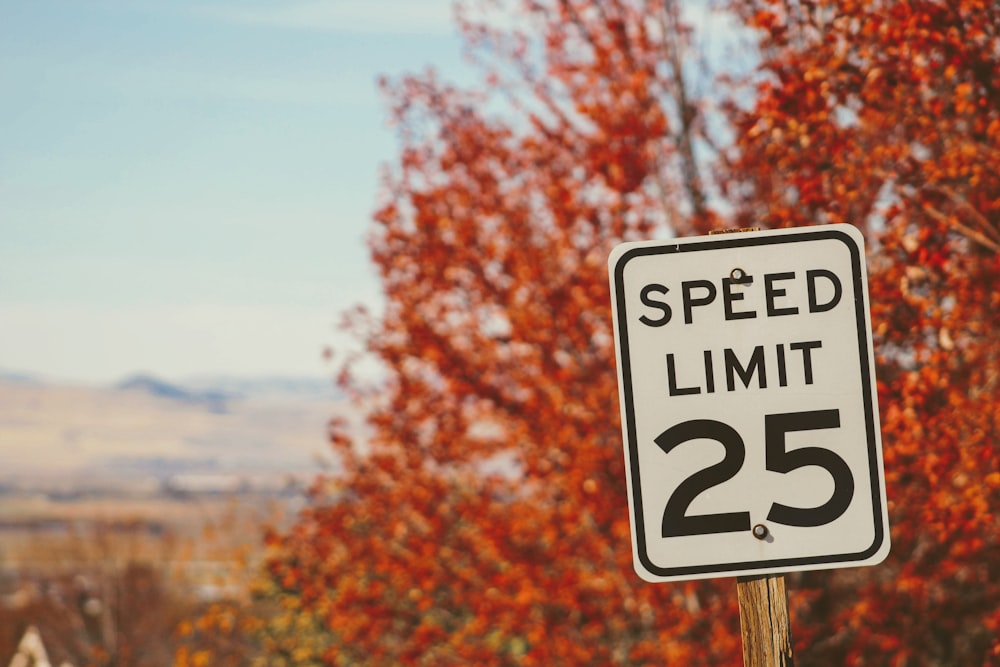 Speed Limit 25 Sign Beside Plant Photo Free Brown Image On Unsplash