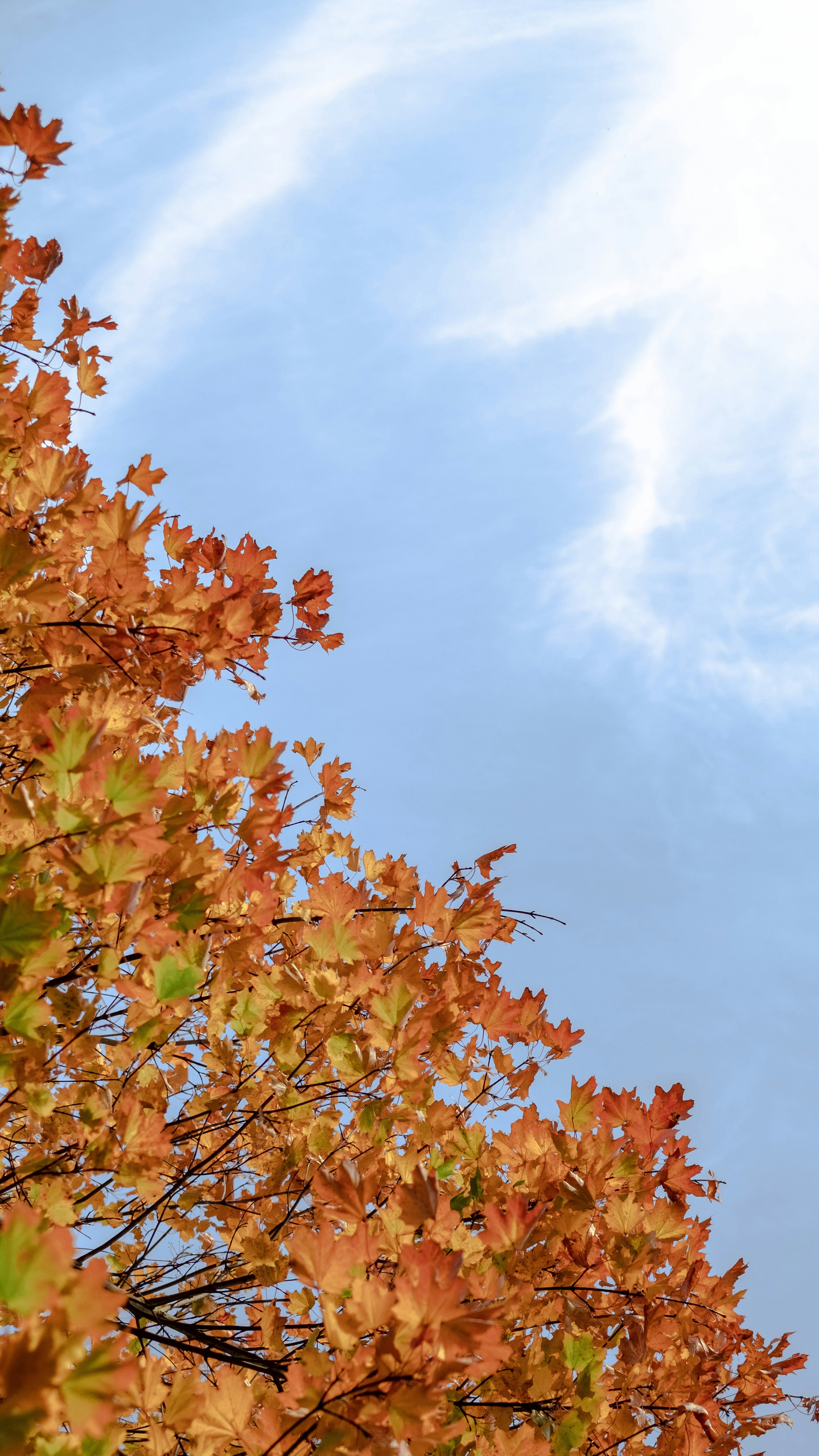 Photo by hendogwarren