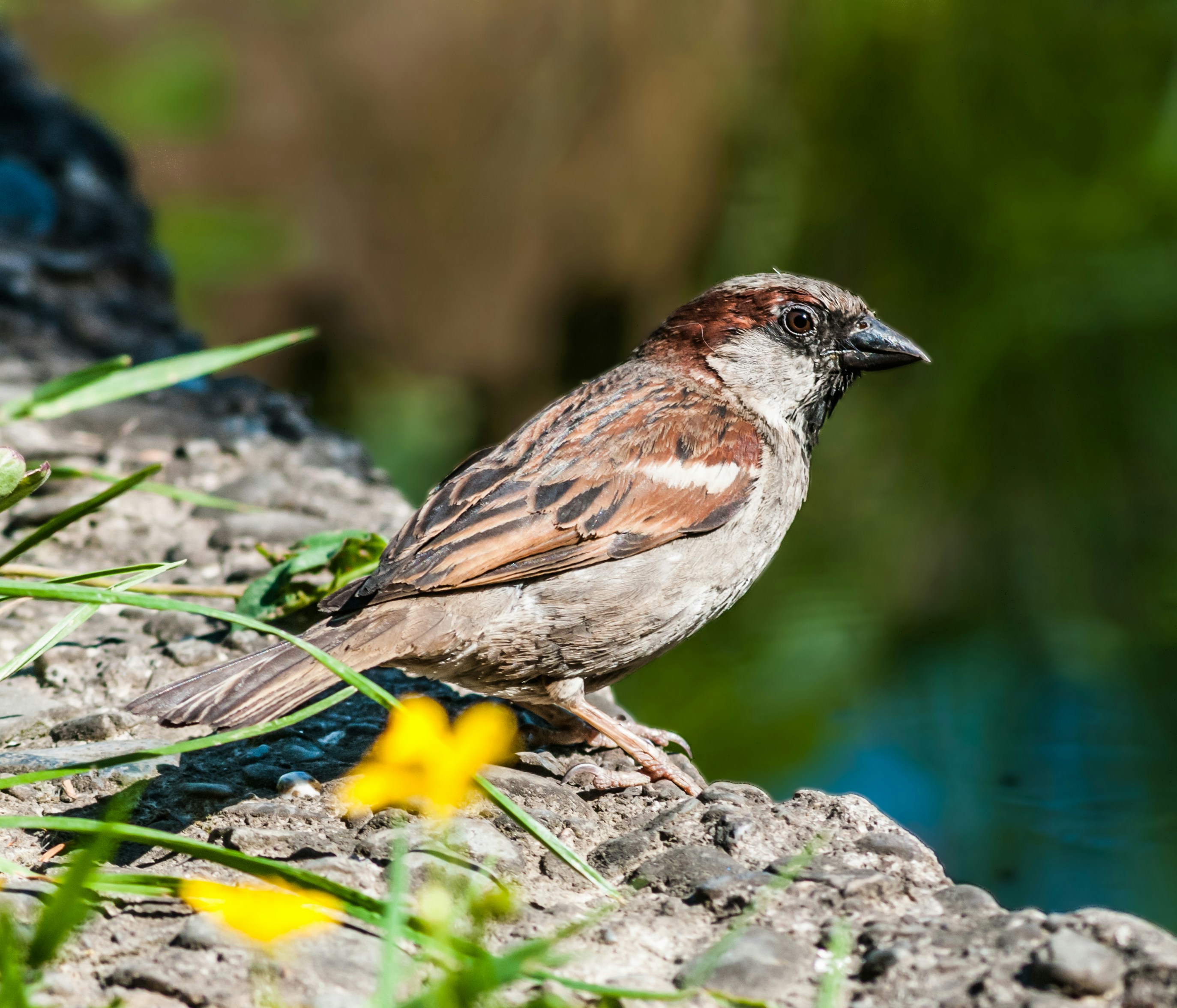 Photo by wladkiselev