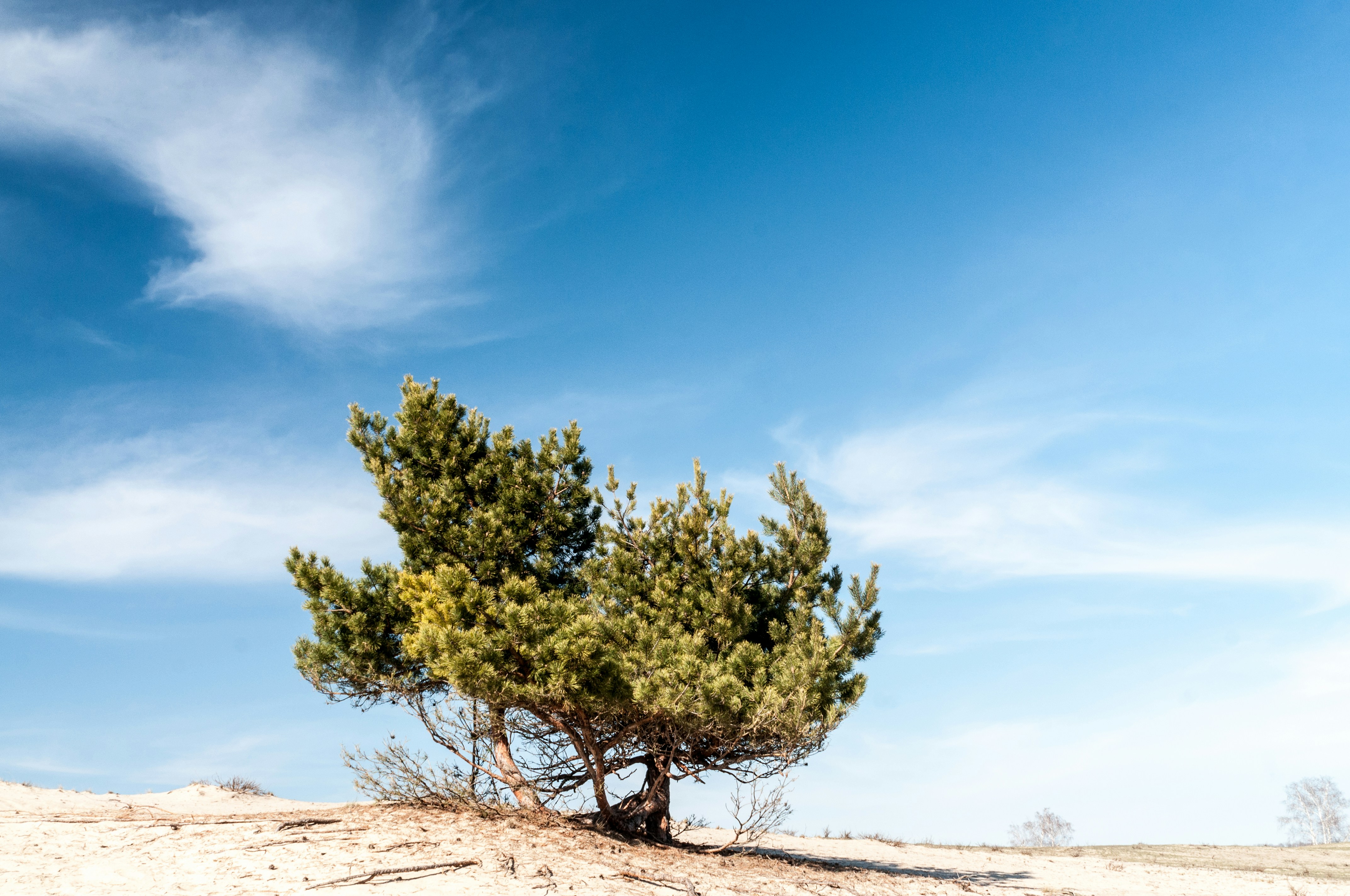 Photo by wladkiselev