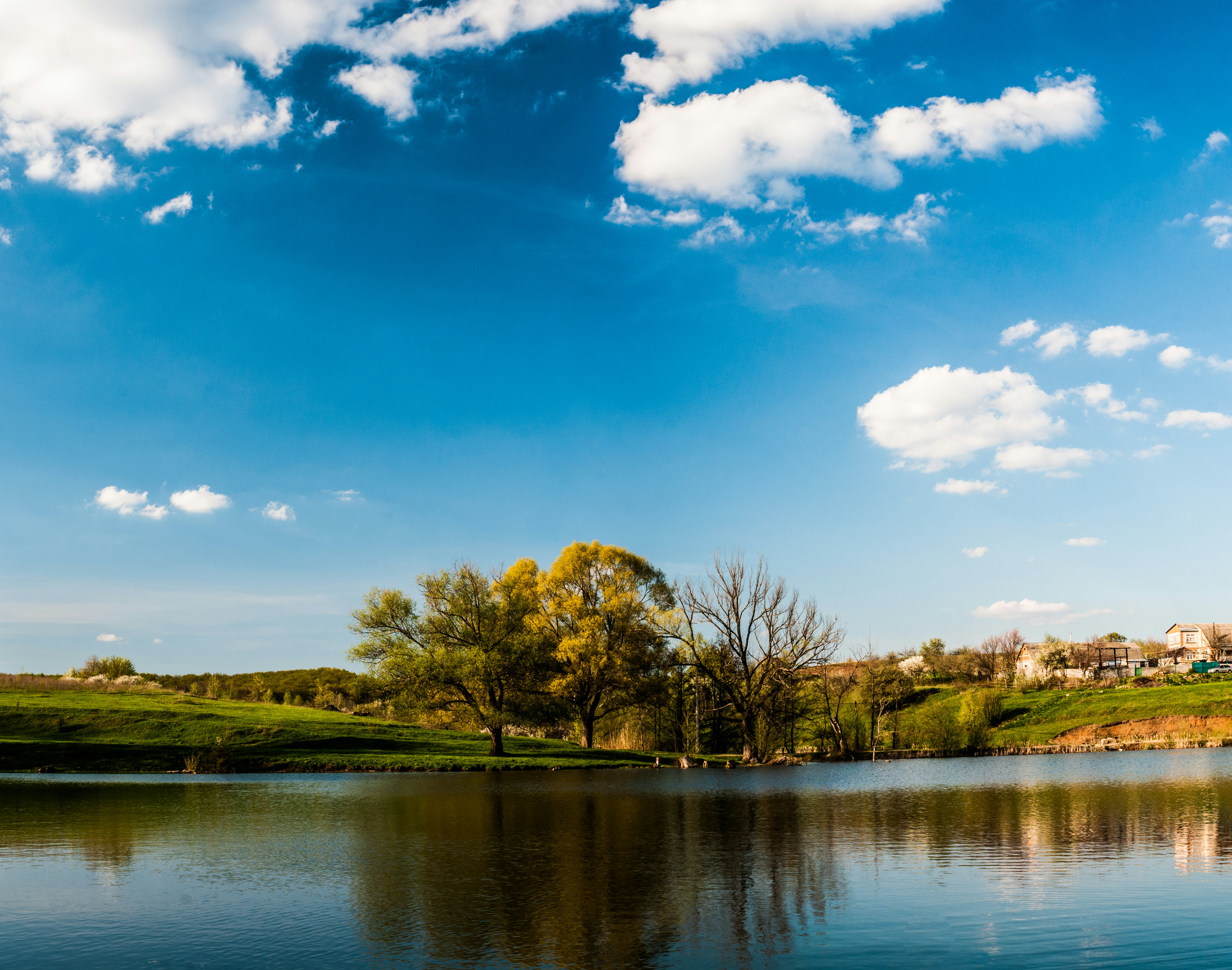 Photo by wladkiselev