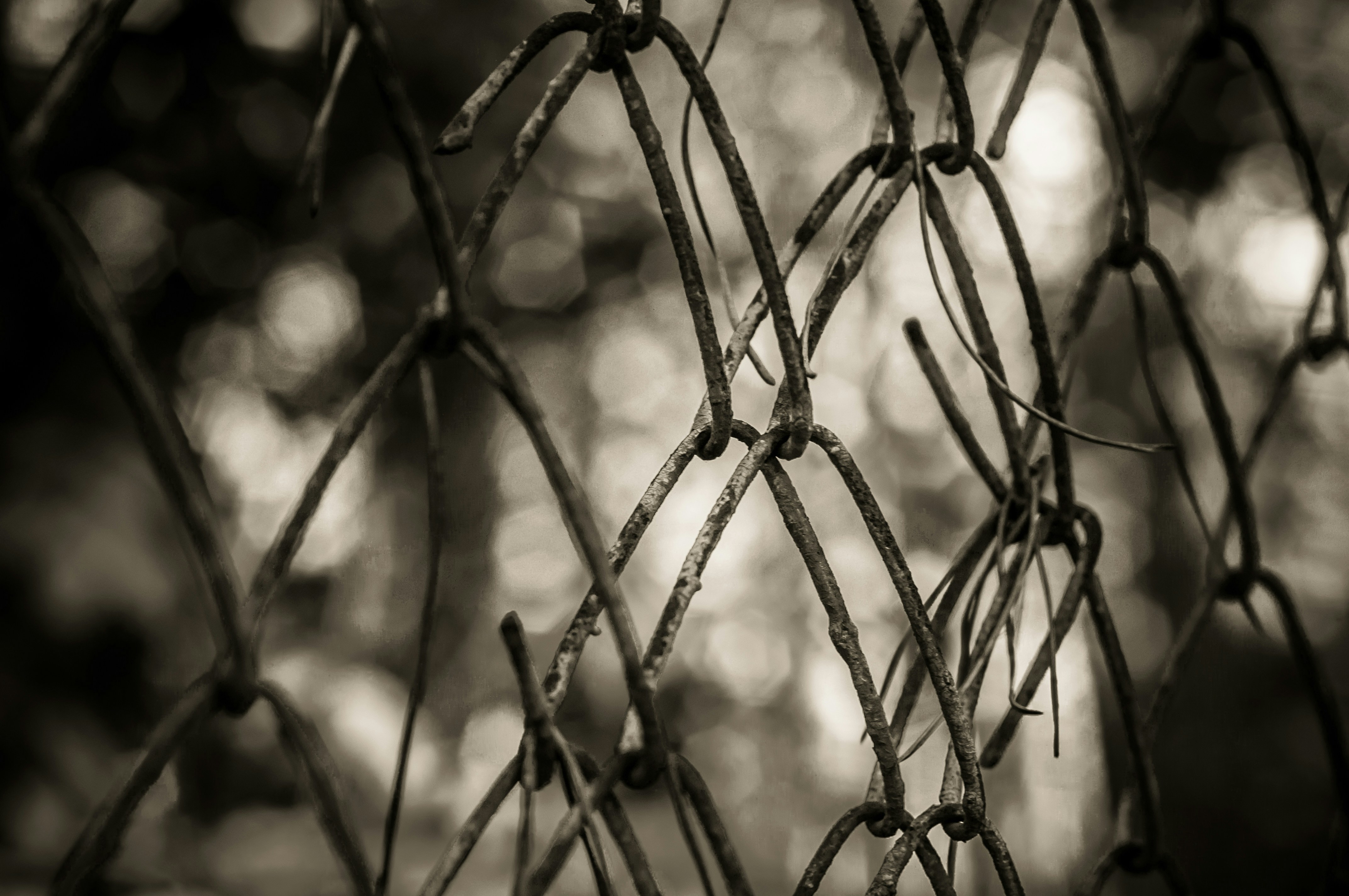 Photo by wladkiselev