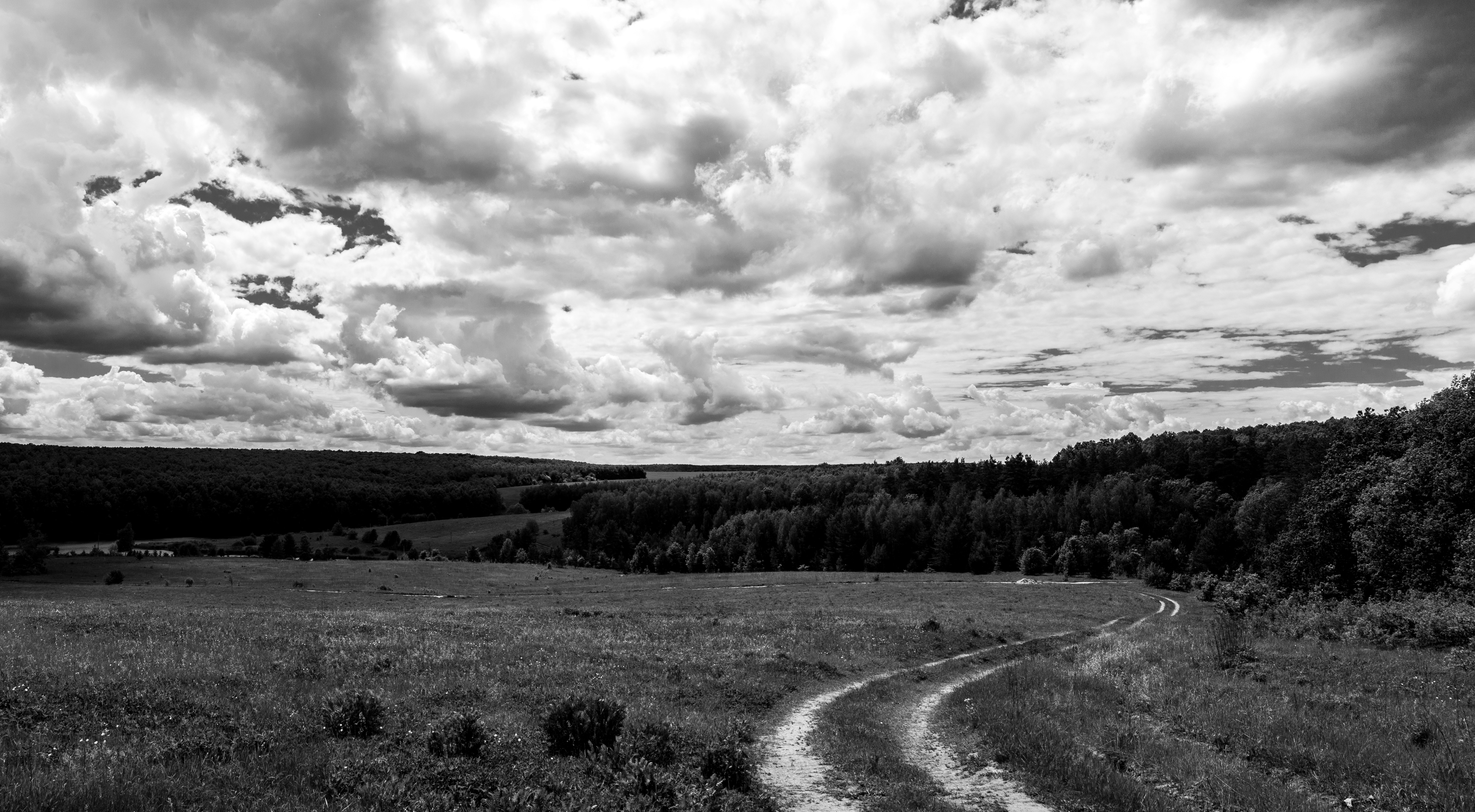 Photo by wladkiselev