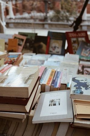 assorted-title book lot