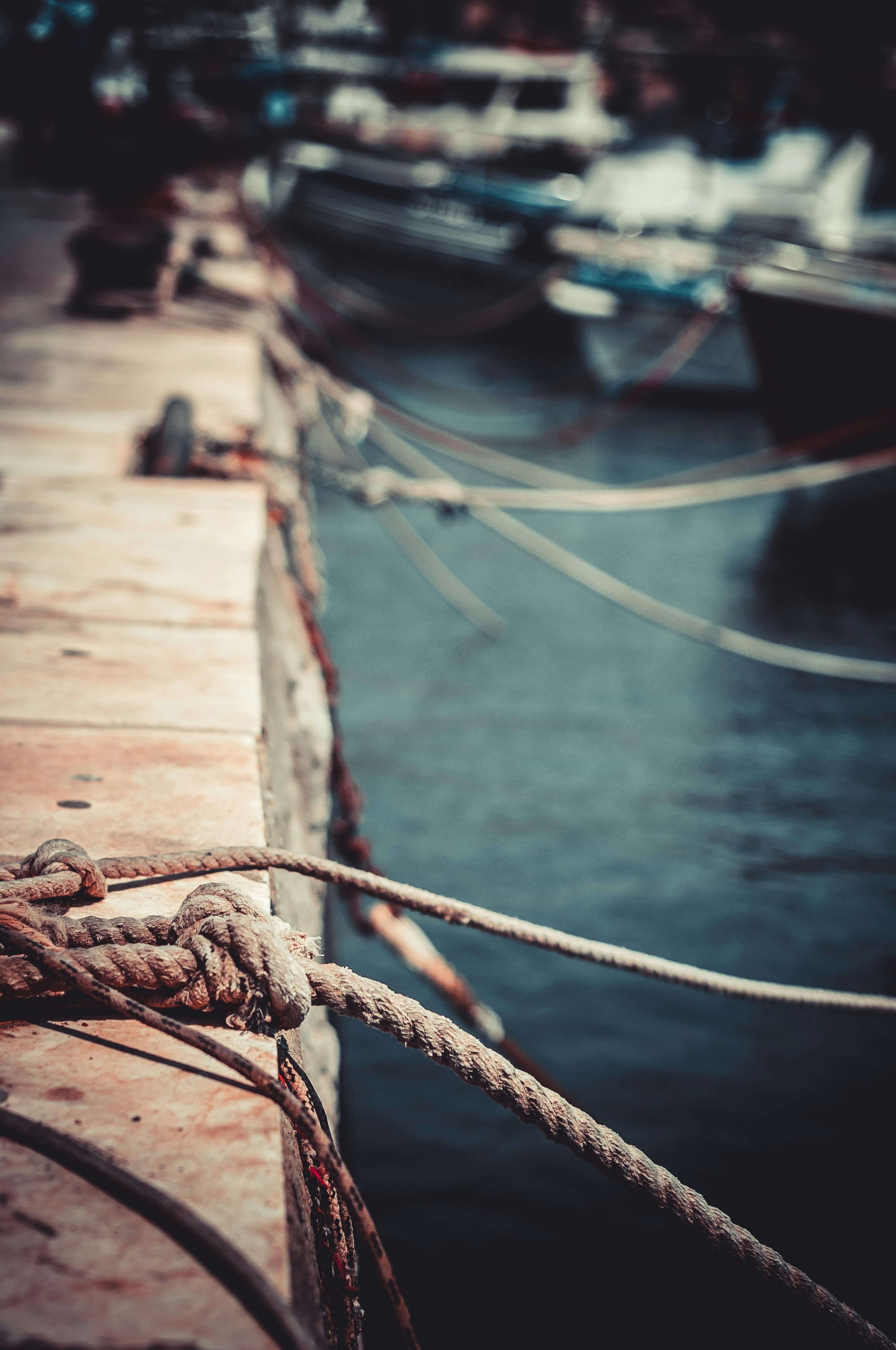 Photo by wladkiselev